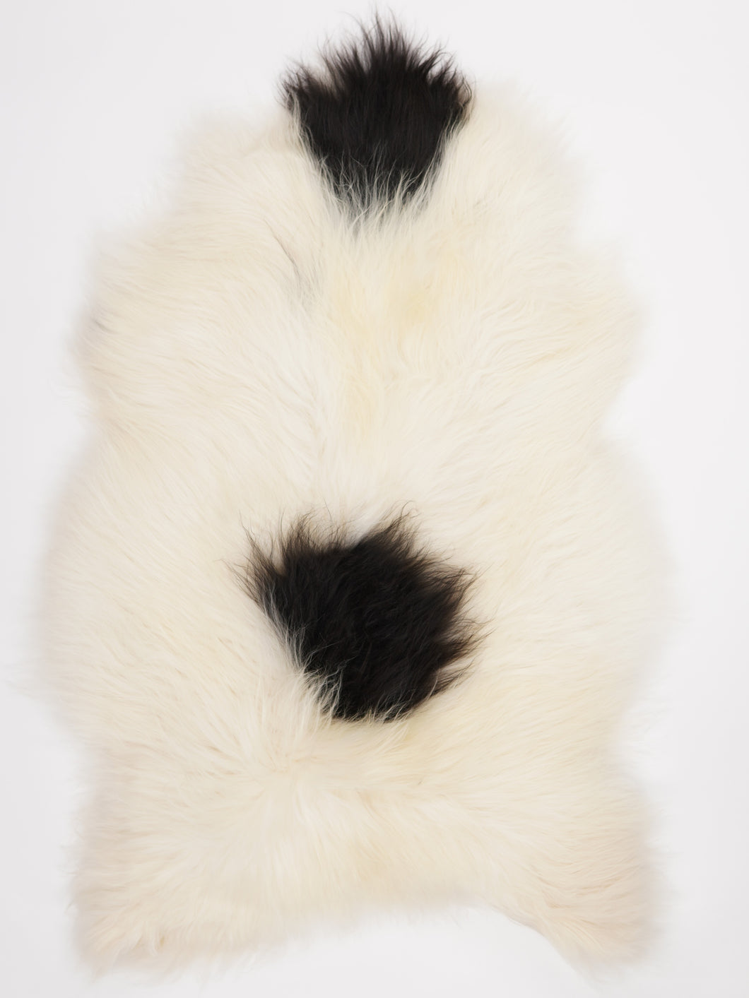 Islandská ovčí kůže XXXL