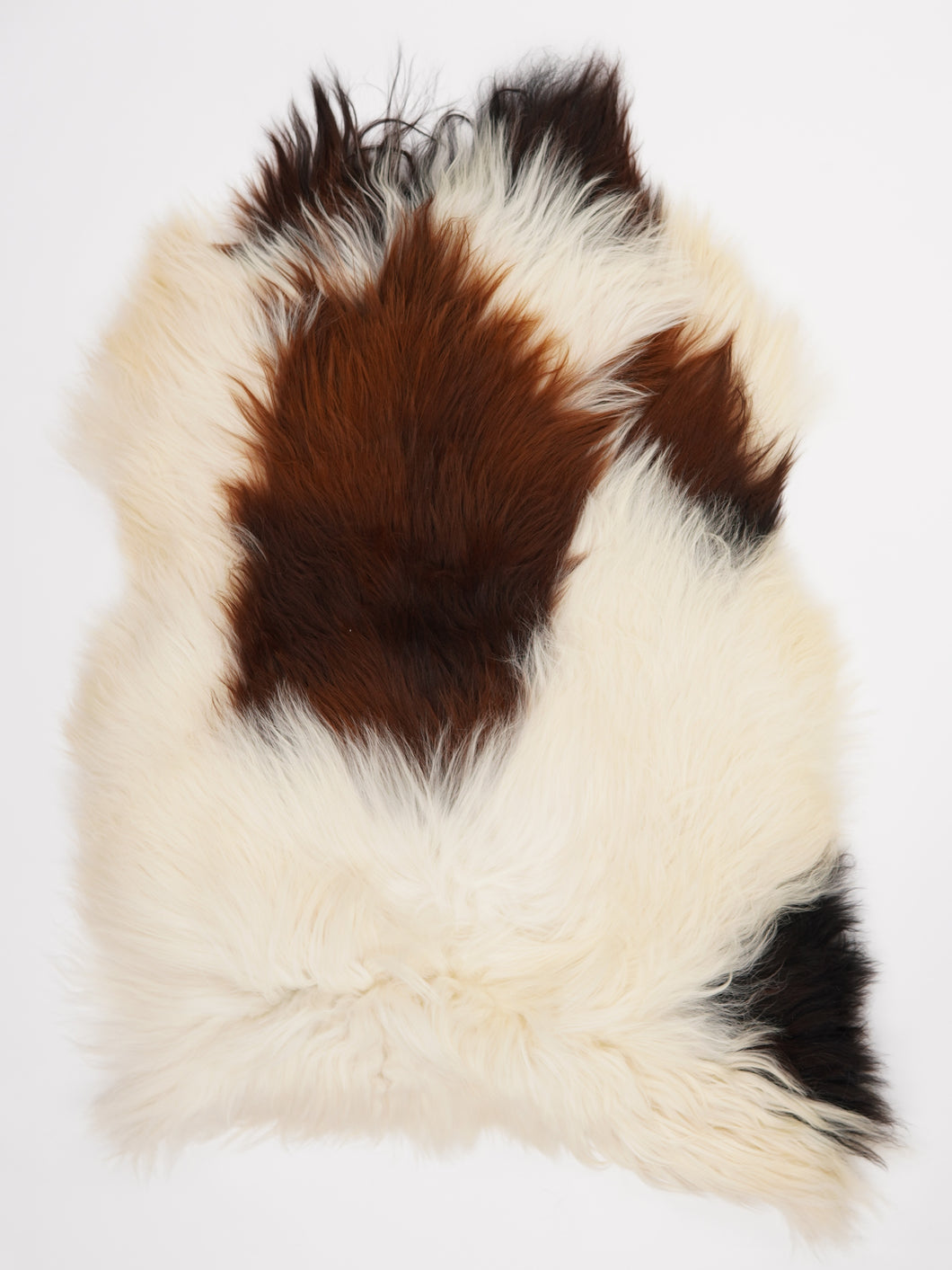 Islandská ovčí kůže XXL