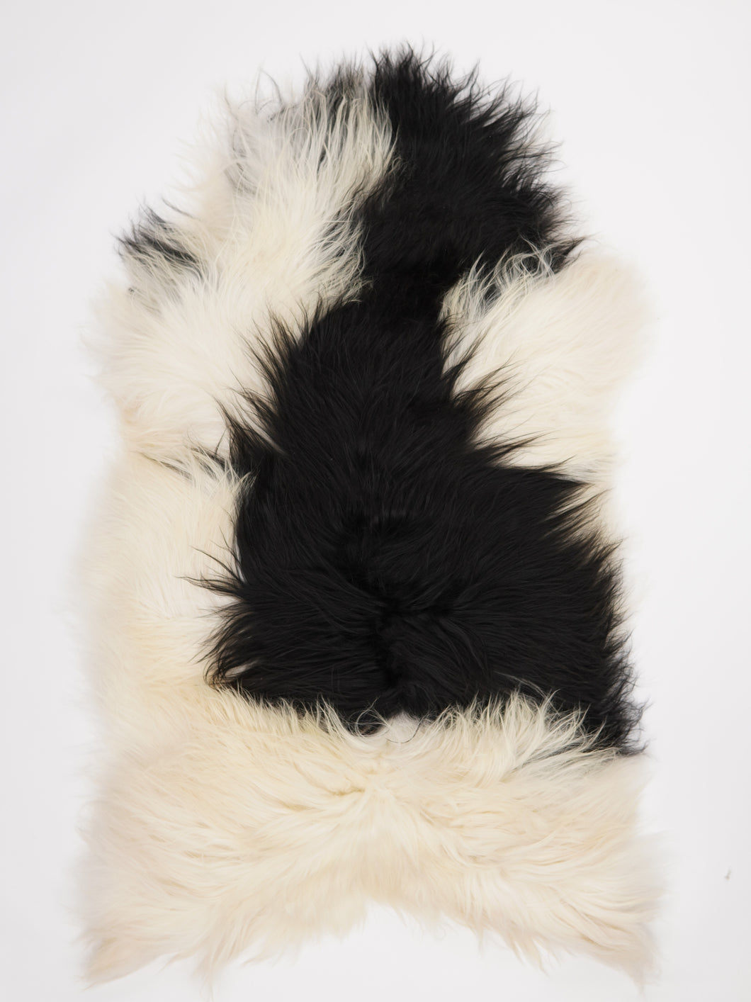 Islandská ovčí kůže XXXL