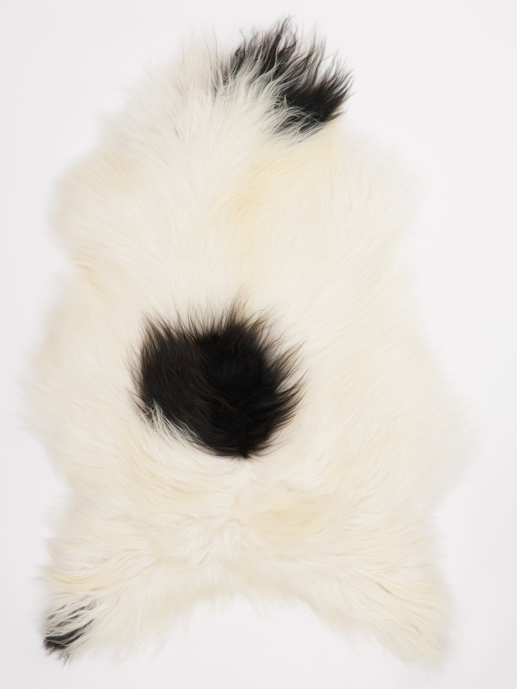 Islandská ovčí kůže XXL