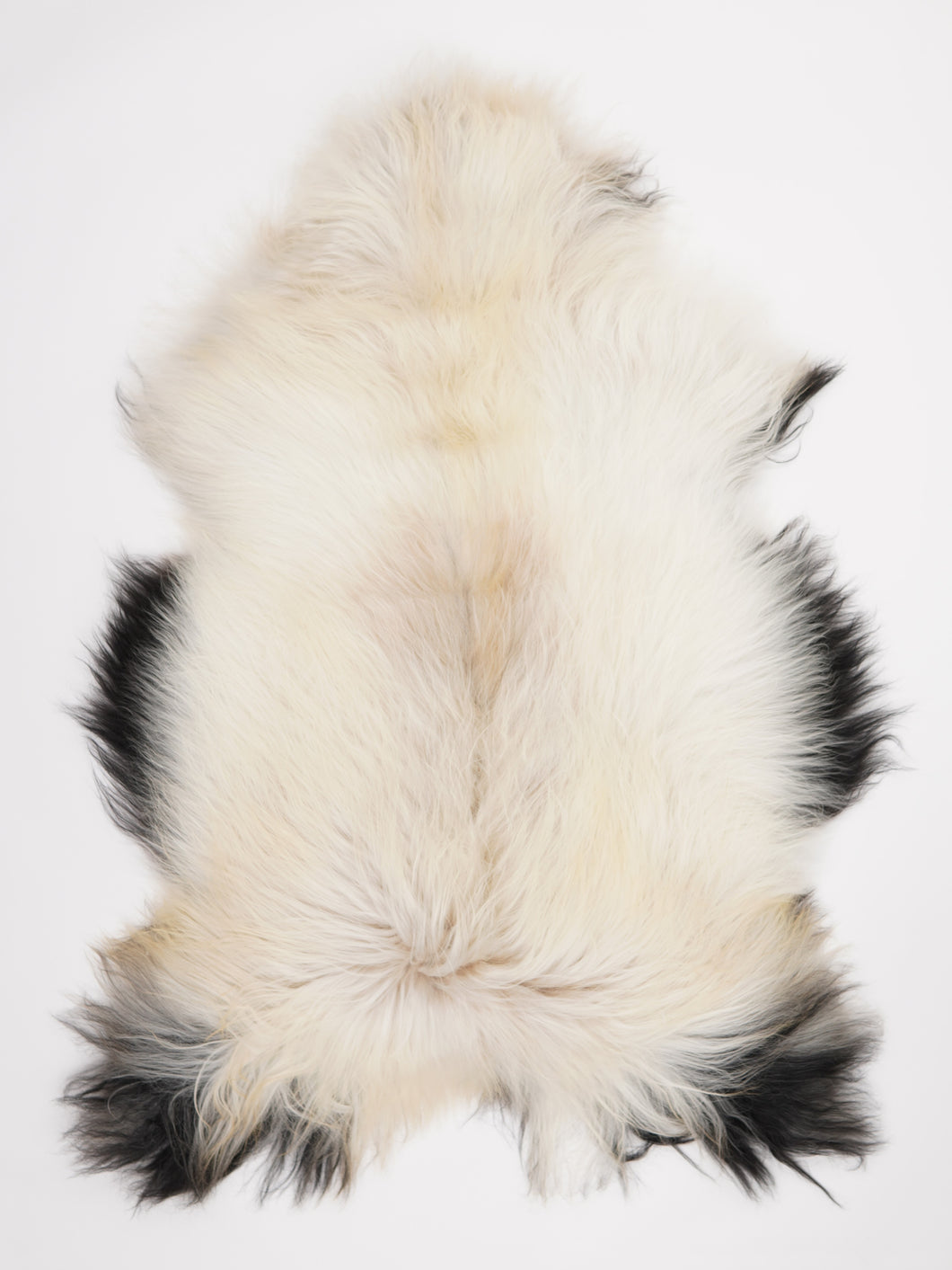 Islandská ovčí kůže XXL