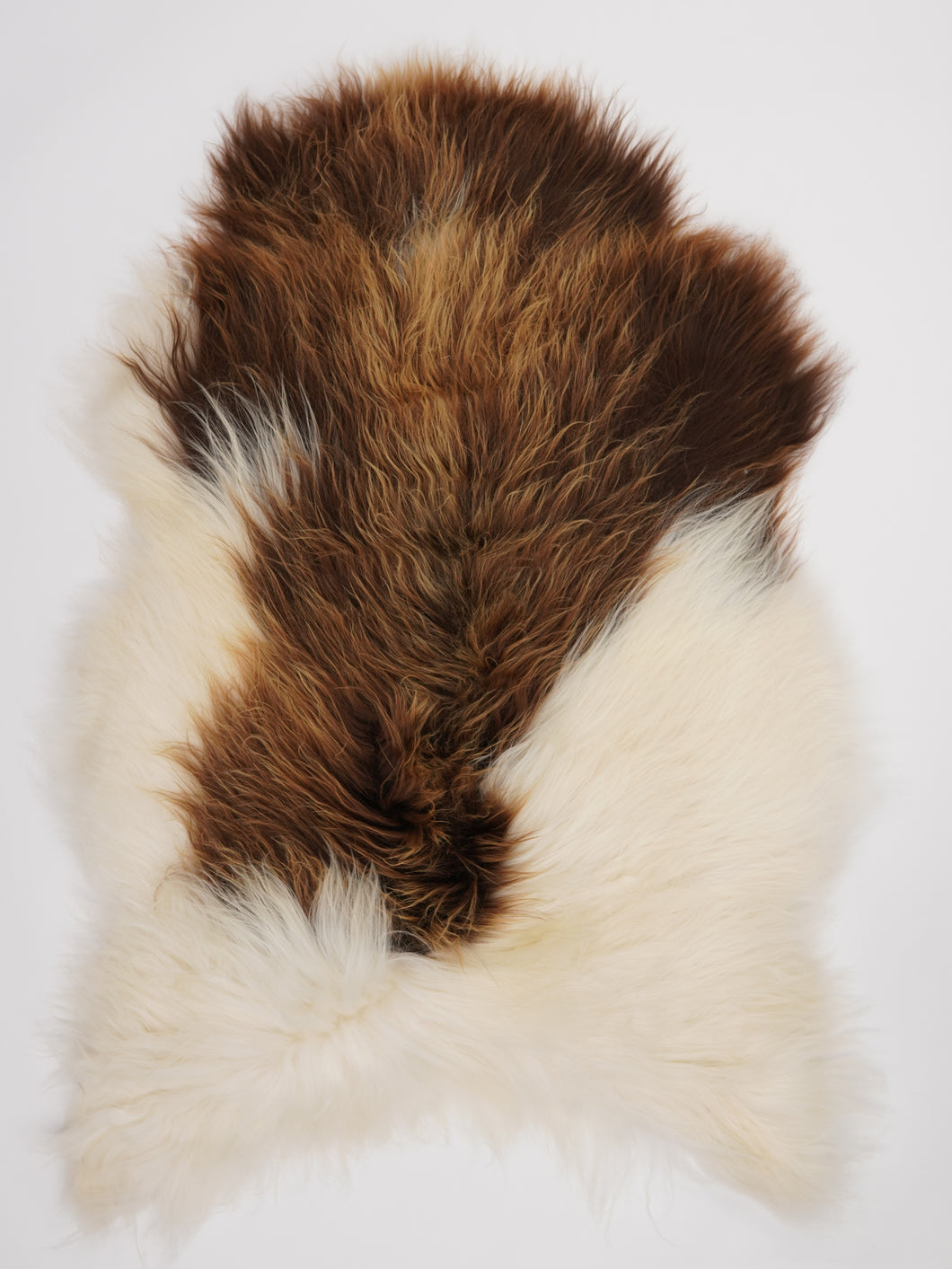 Islandská ovčí kůže XXL