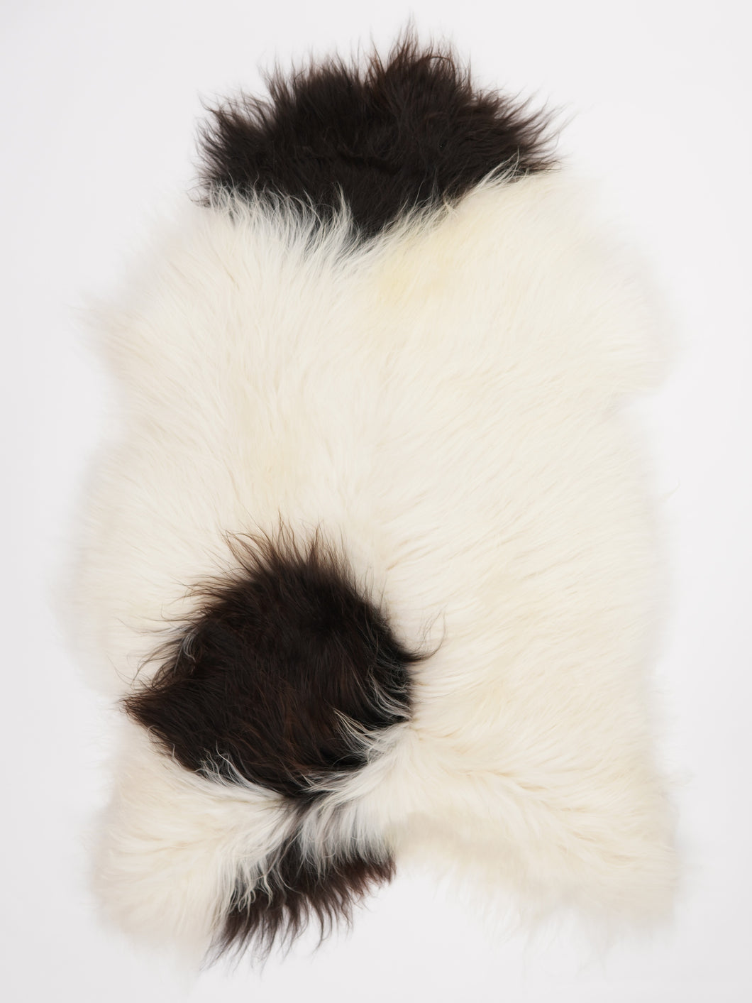 Islandiškas avikailis XXL