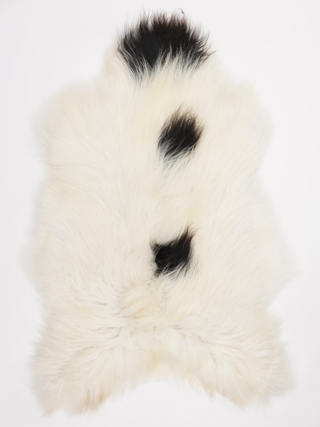 Islandská ovčí kůže XXL