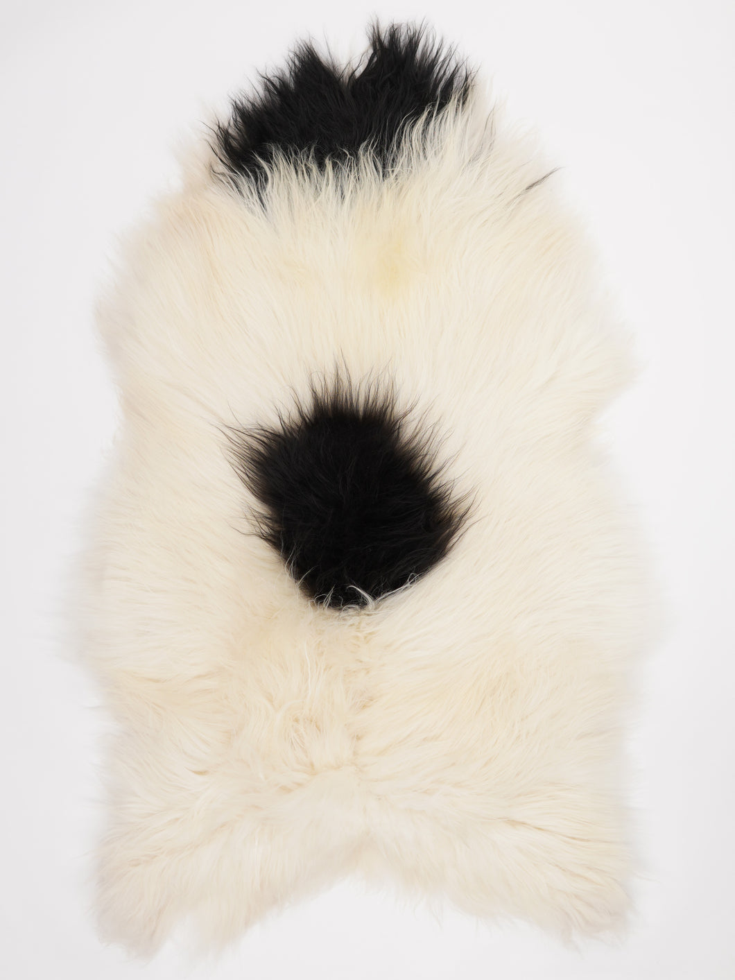 Islandiškas avikailis XXXL