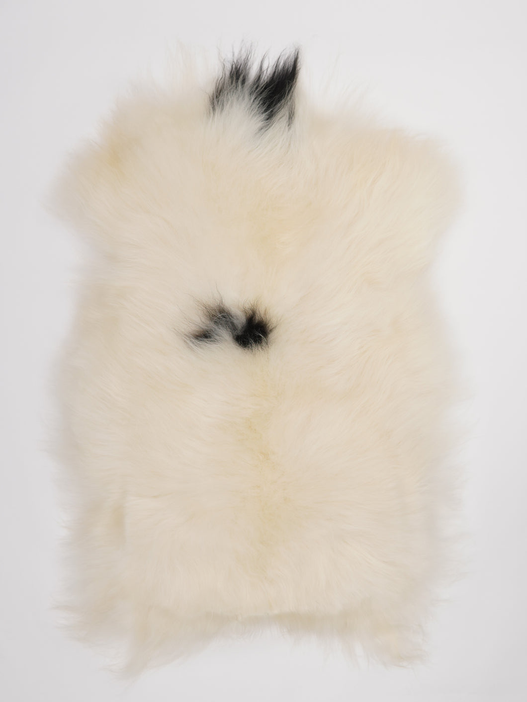 Islandská ovčí kůže XL