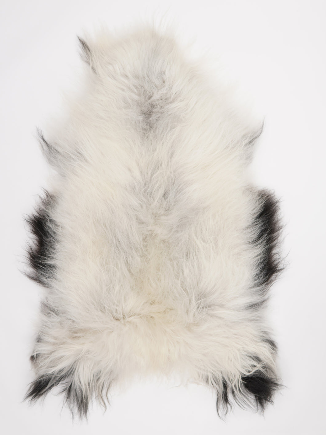 Islandská ovčí kůže XXL
