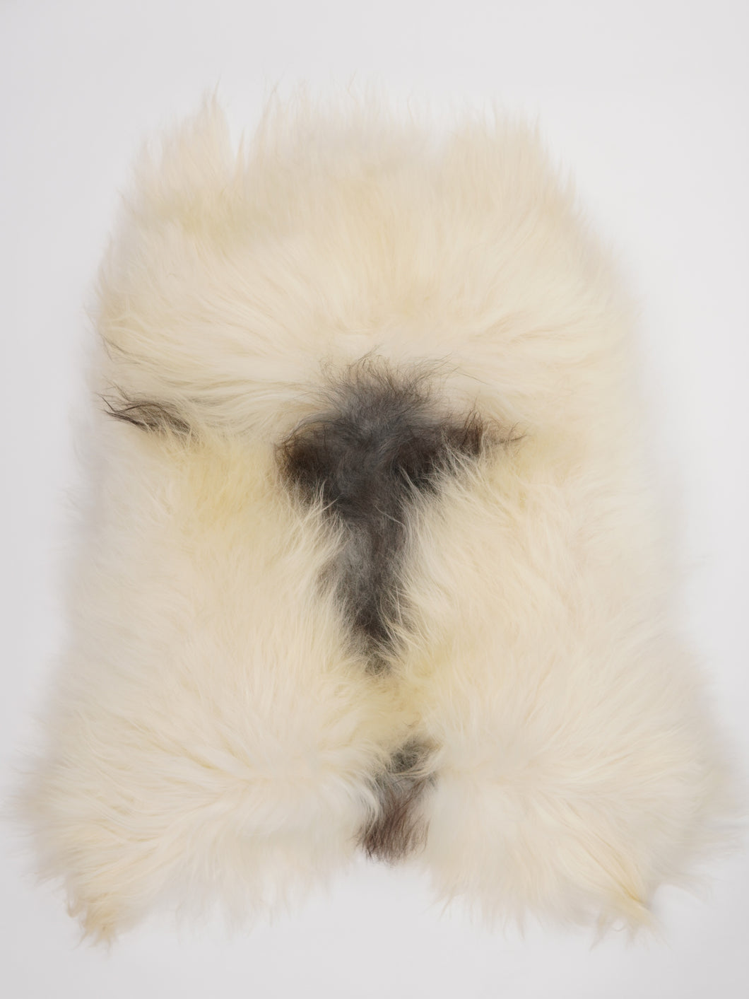 Islandská ovčí kůže XL