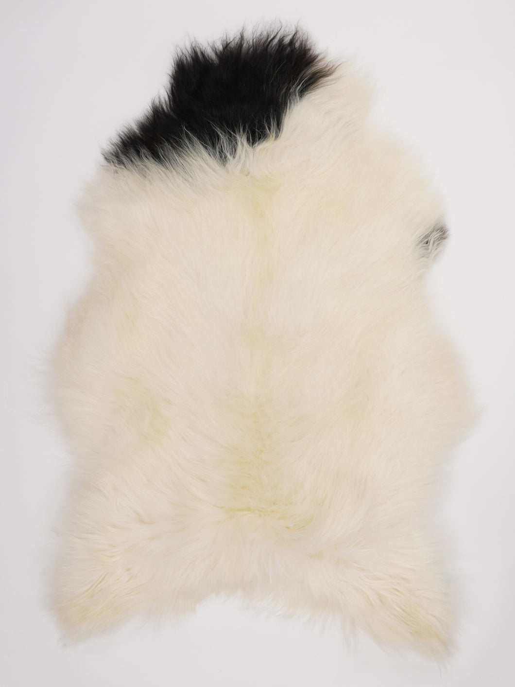 Islandská ovčí kůže XXL