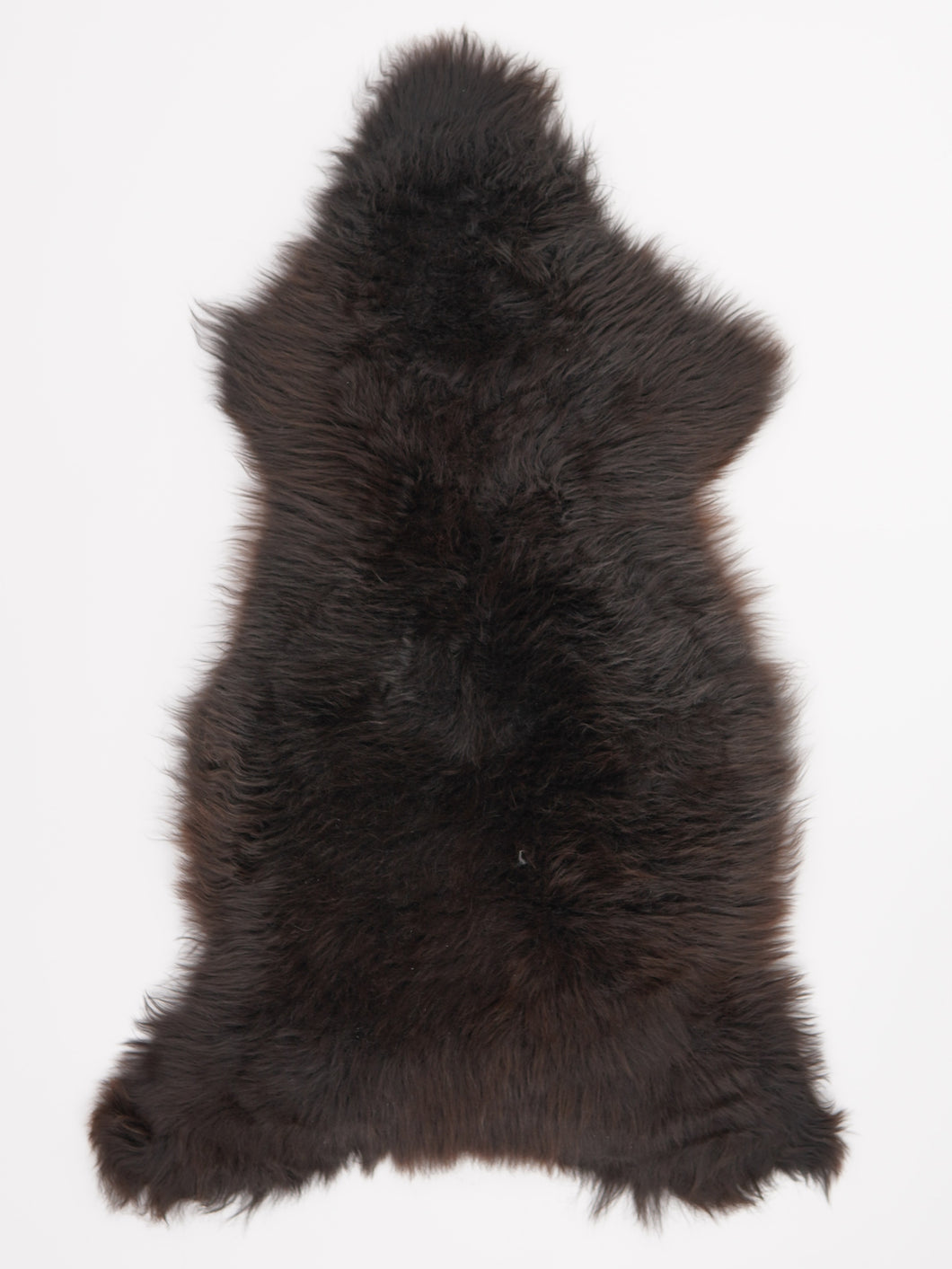 Įvairiaspalvis avikailis XL