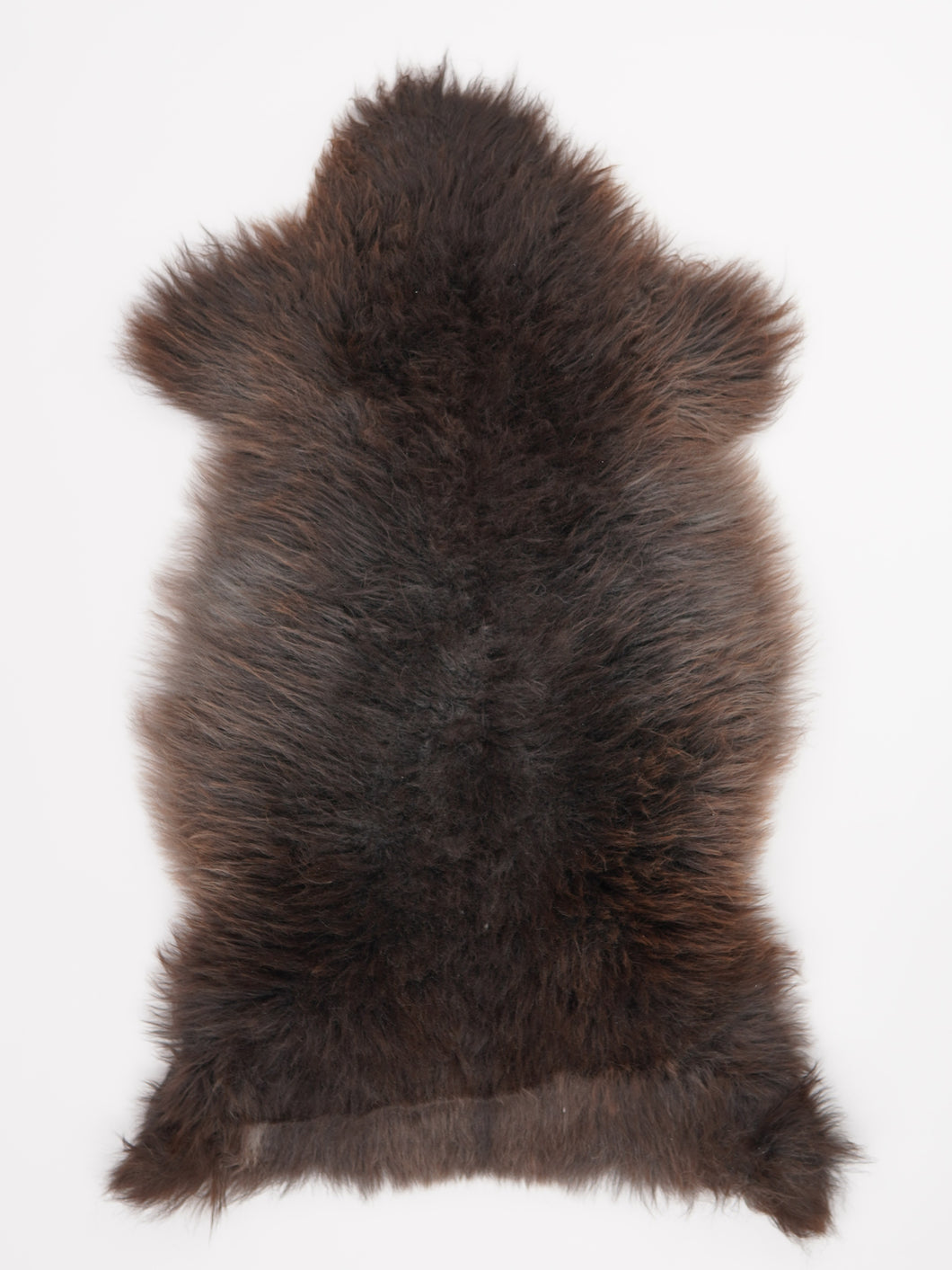 Įvairiaspalvis avikailis XL