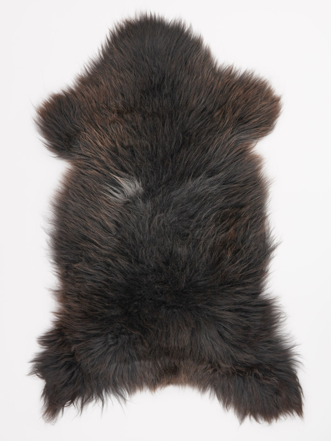 Įvairiaspalvis avikailis XL