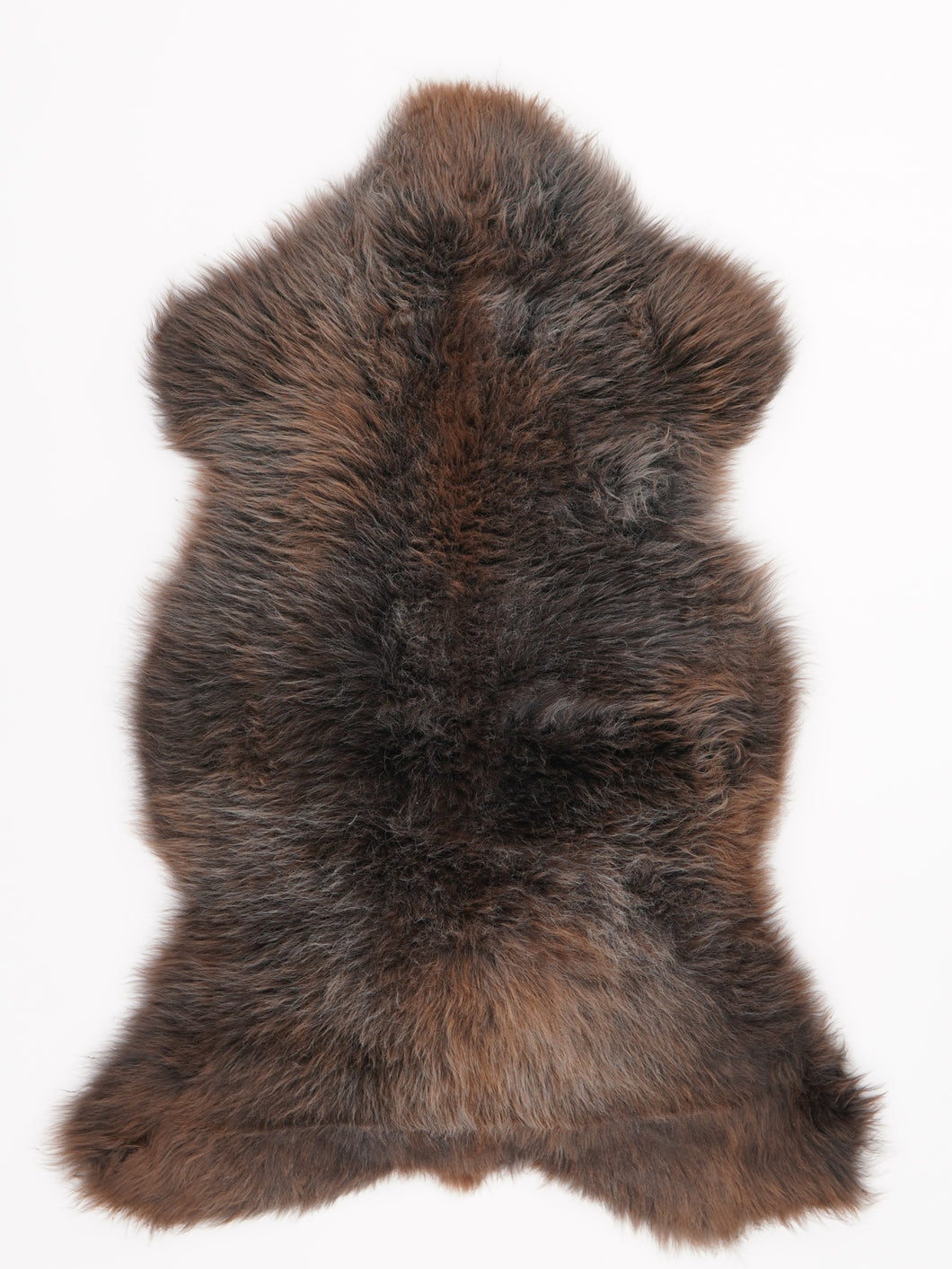 Įvairiaspalvis avikailis M