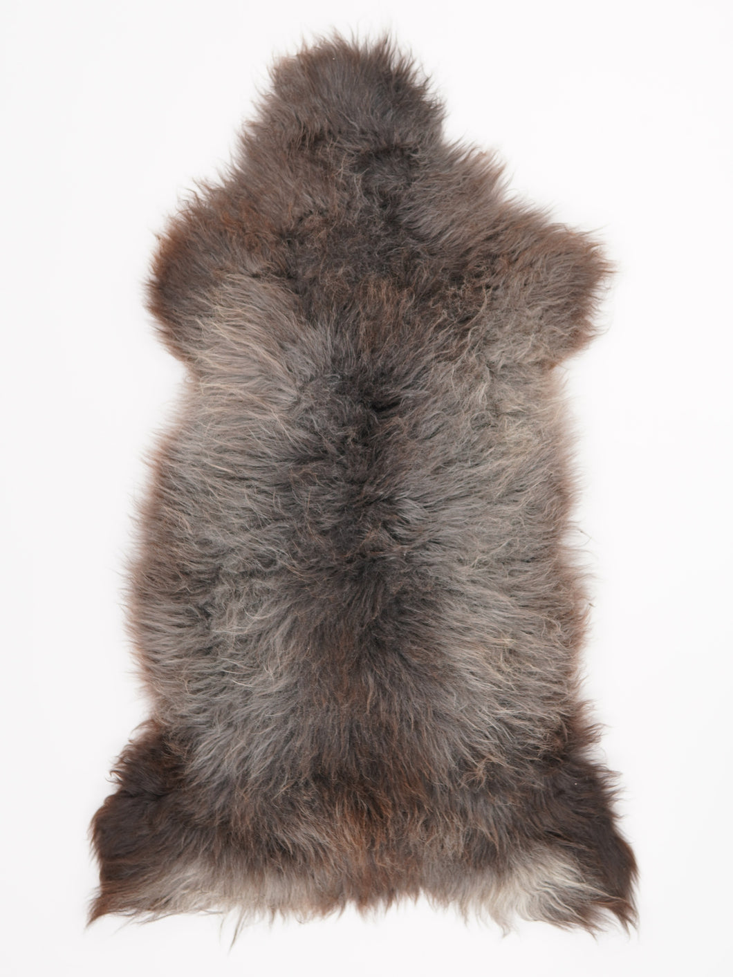 Įvairiaspalvis avikailis XL