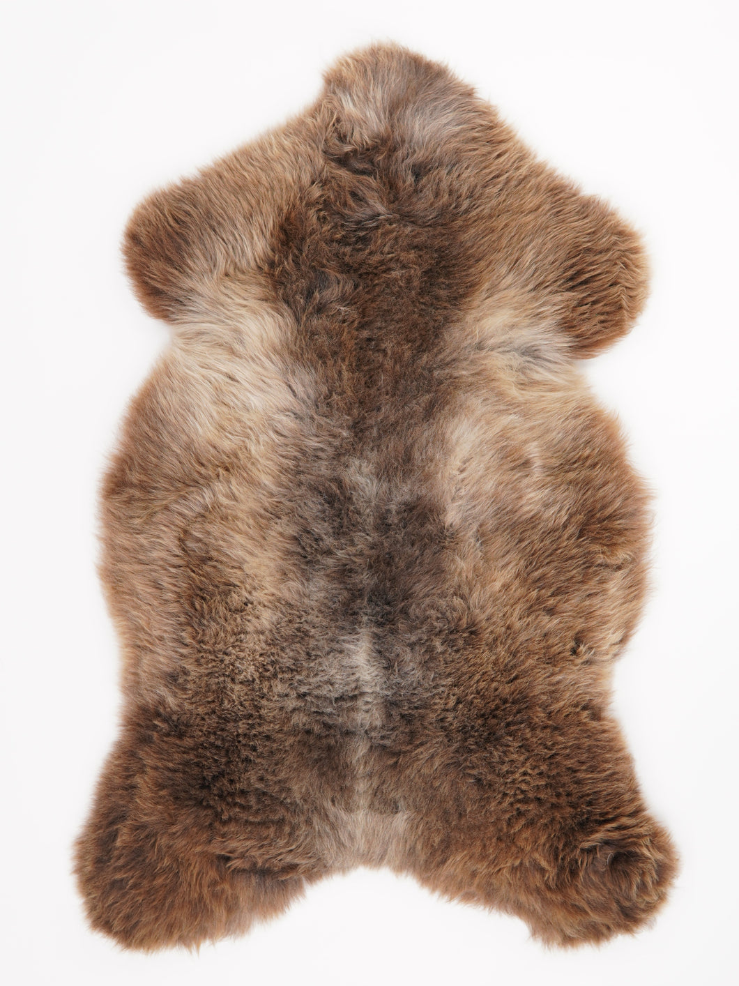 Įvairiaspalvis avikailis XL