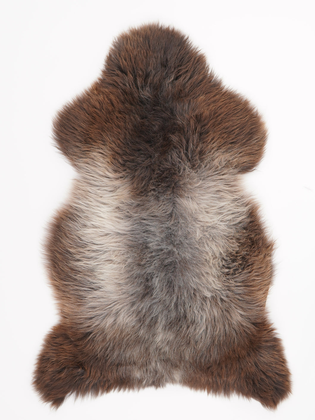 Įvairiaspalvis avikailis XL