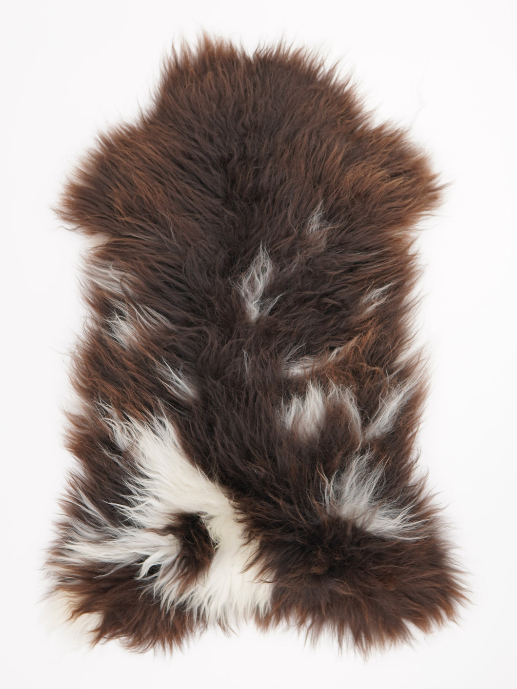 Įvairiaspalvis avikailis XL