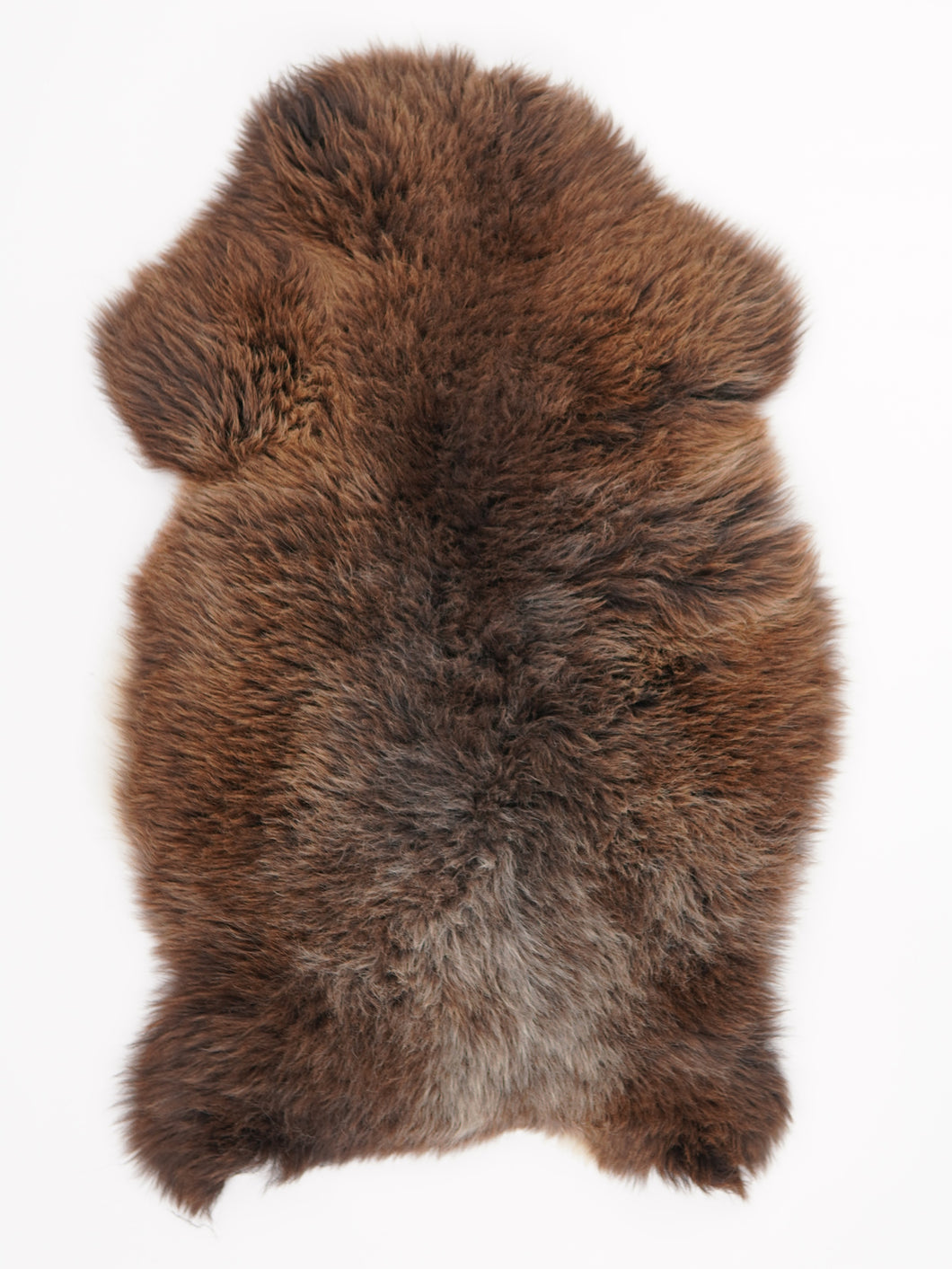 Įvairiaspalvis avikailis L