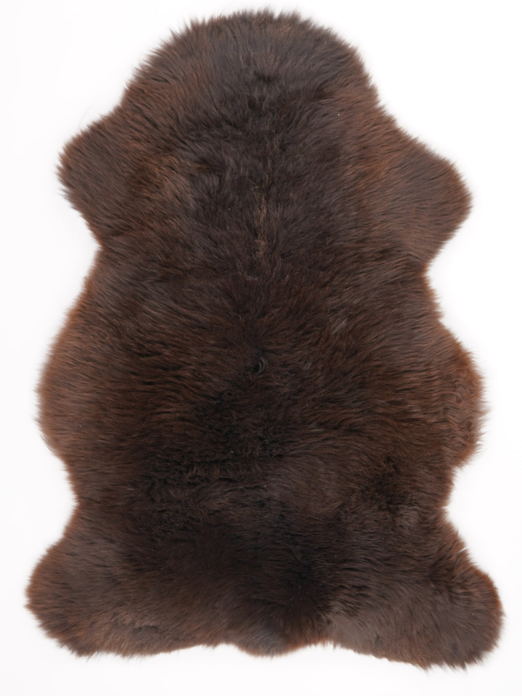 Įvairiaspalvis avikailis XL