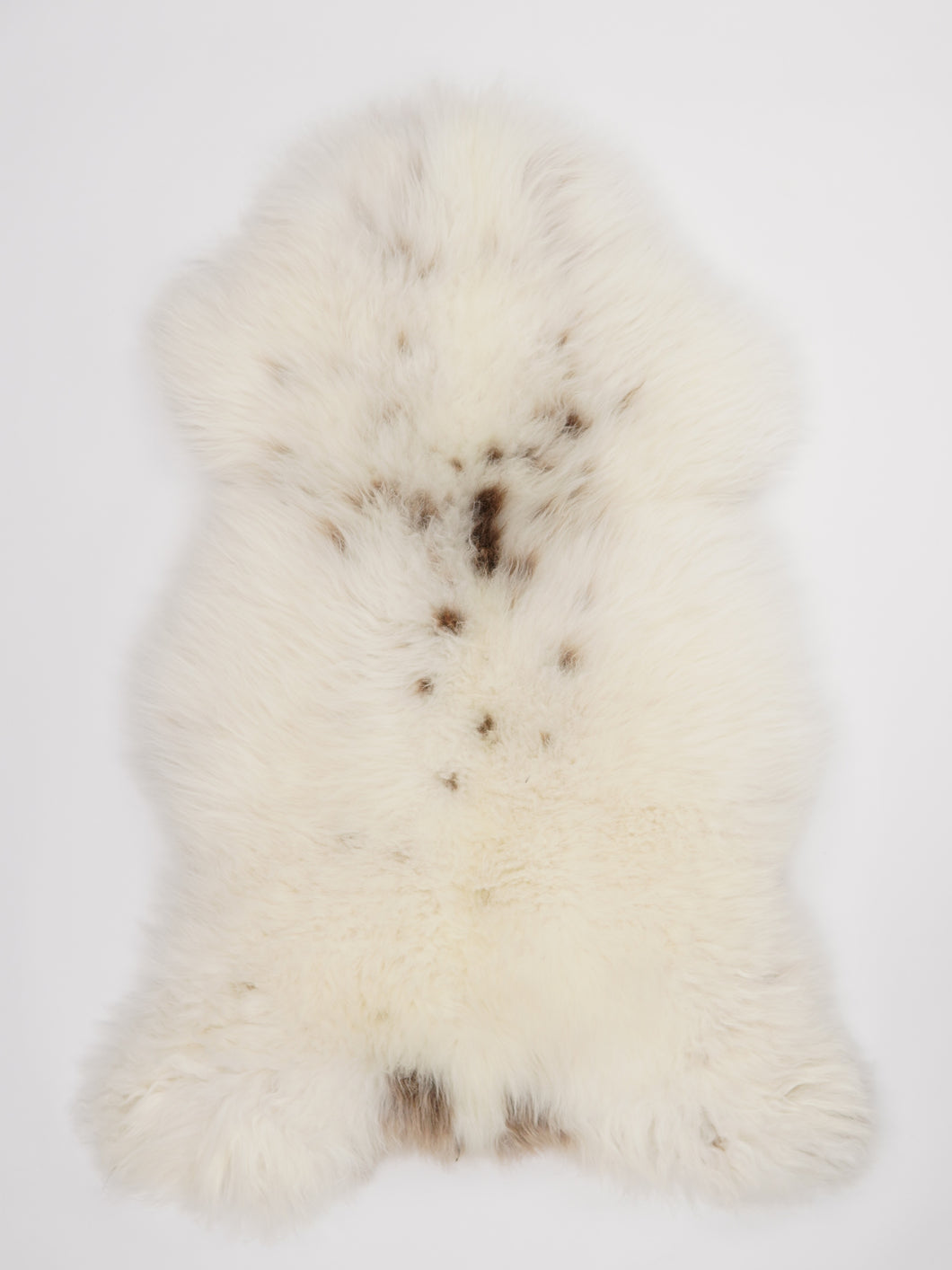 Įvairiaspalvis avikailis XL