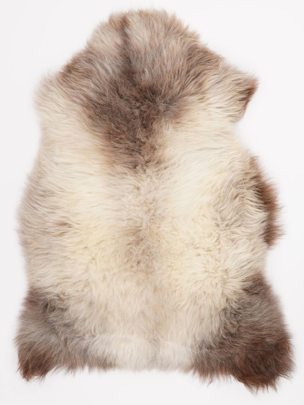 Įvairiaspalvis avikailis XL