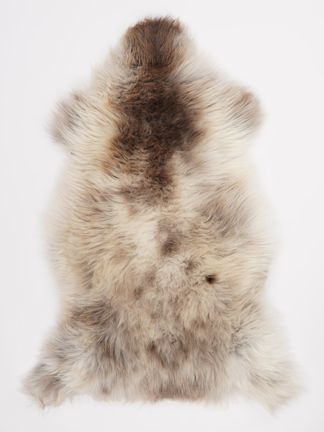 Įvairiaspalvis avikailis XL