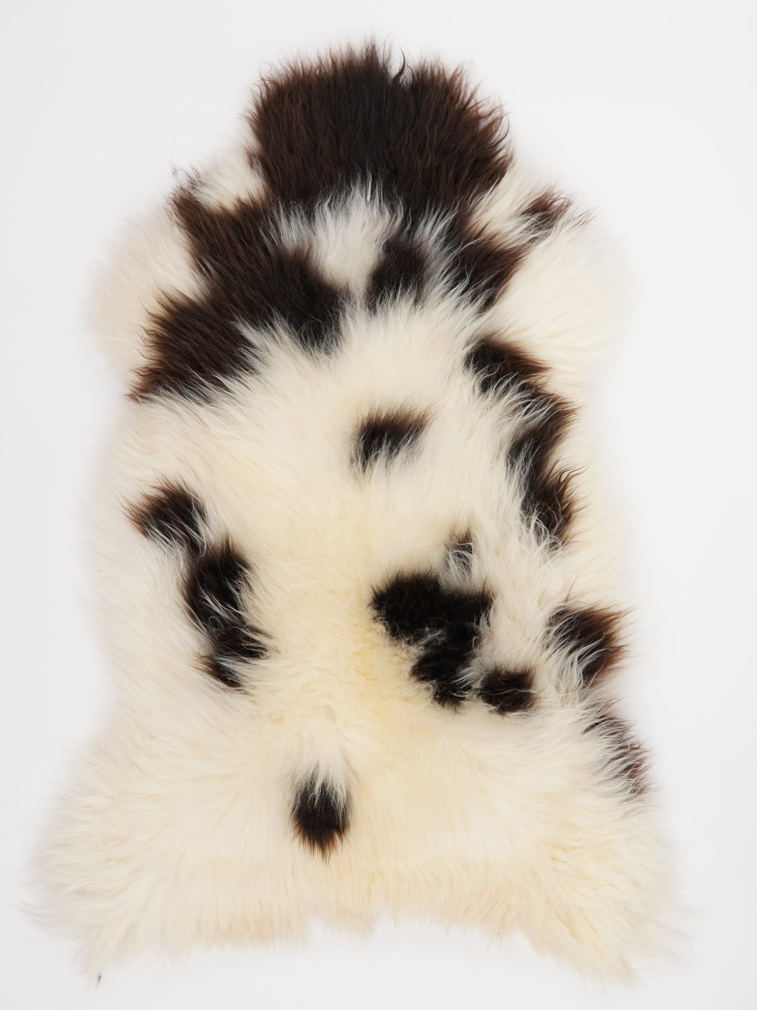 Įvairiaspalvis avikailis XL