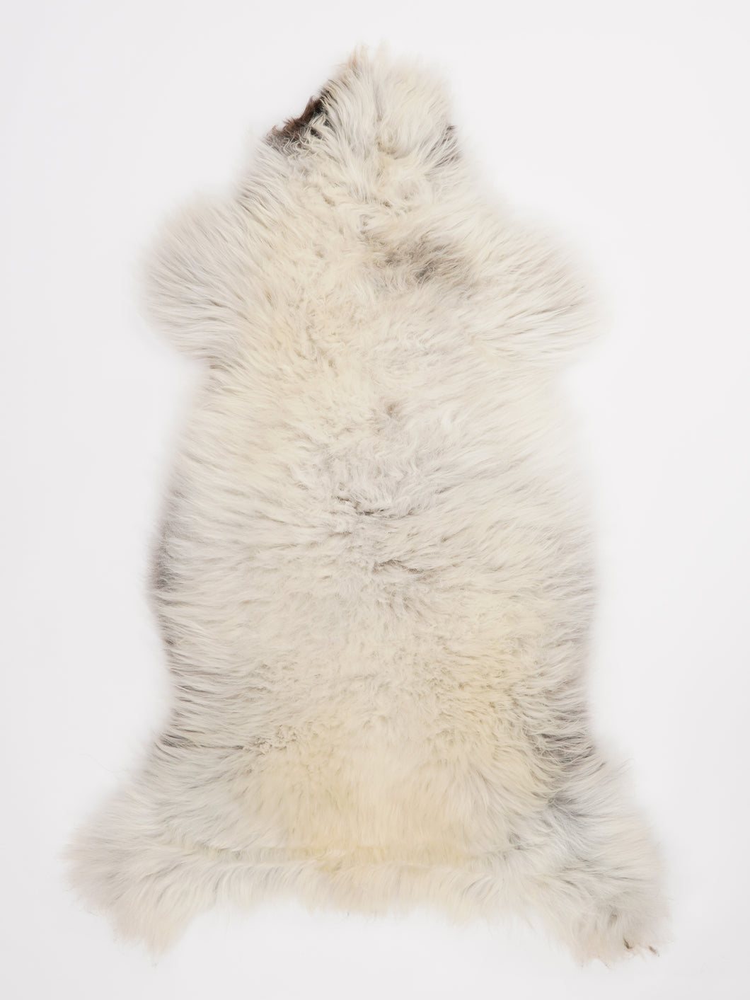 Įvairiaspalvis avikailis XL