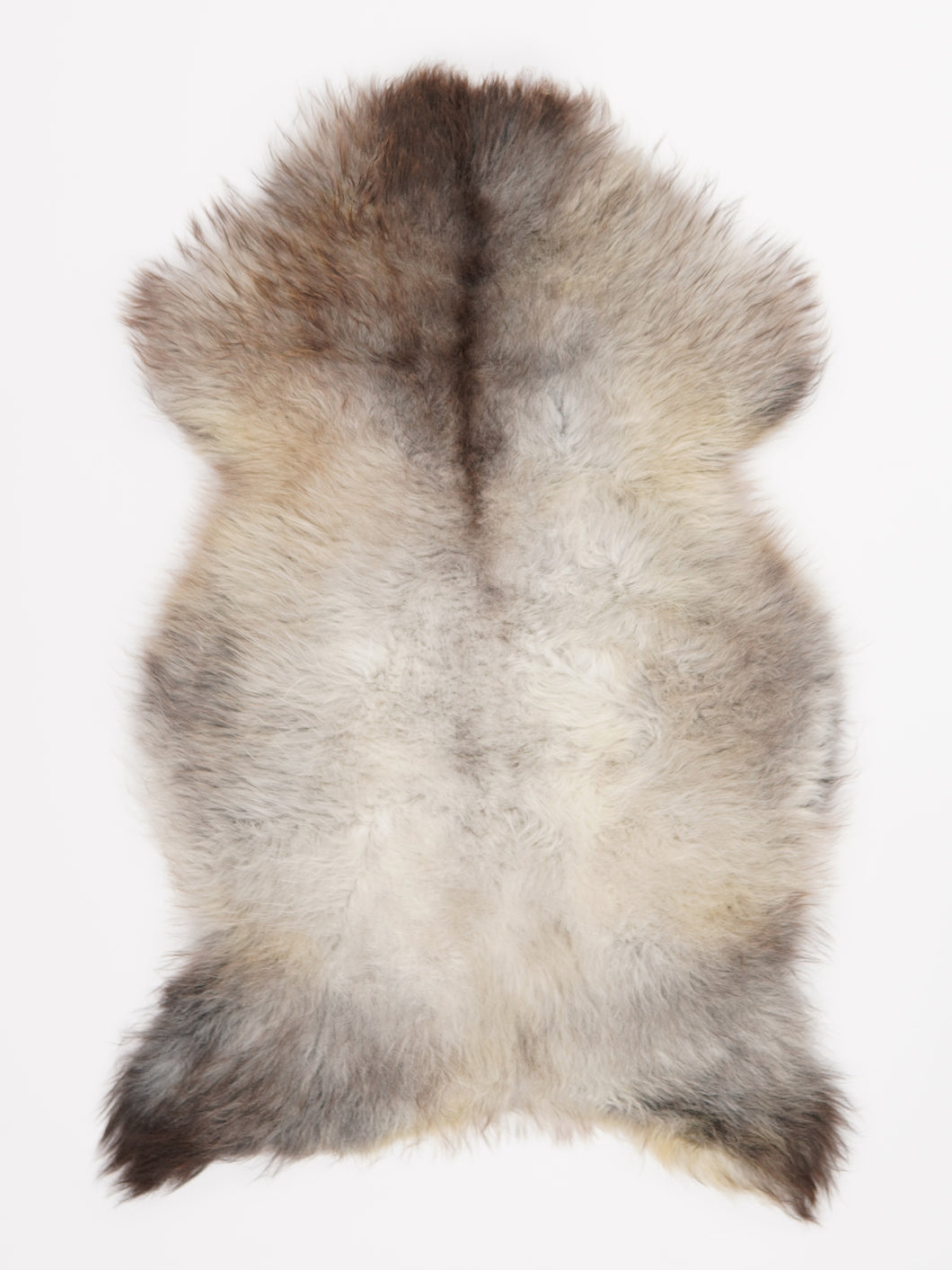 Įvairiaspalvis avikailis M