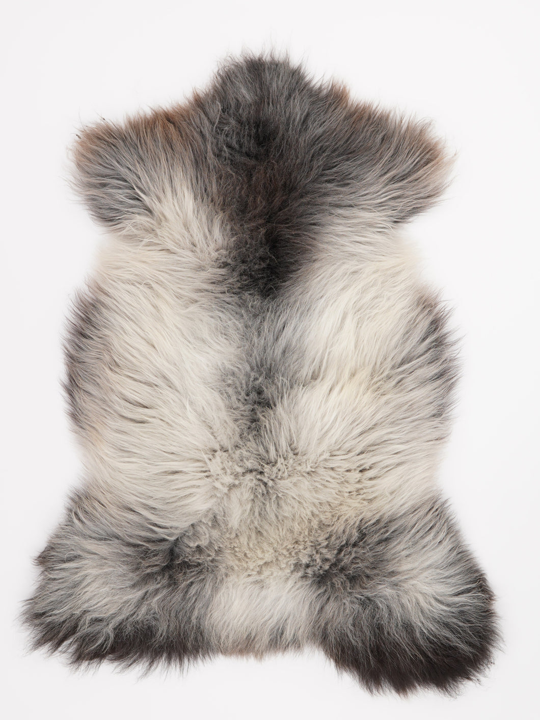 Įvairiaspalvis avikailis XL