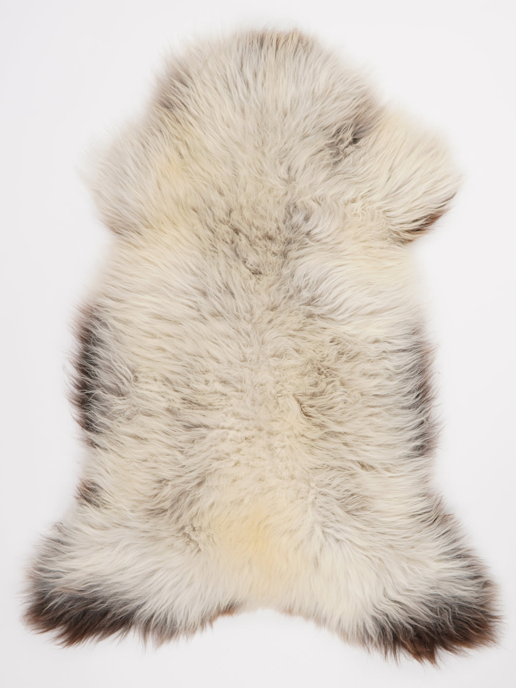 Įvairiaspalvis avikailis XL