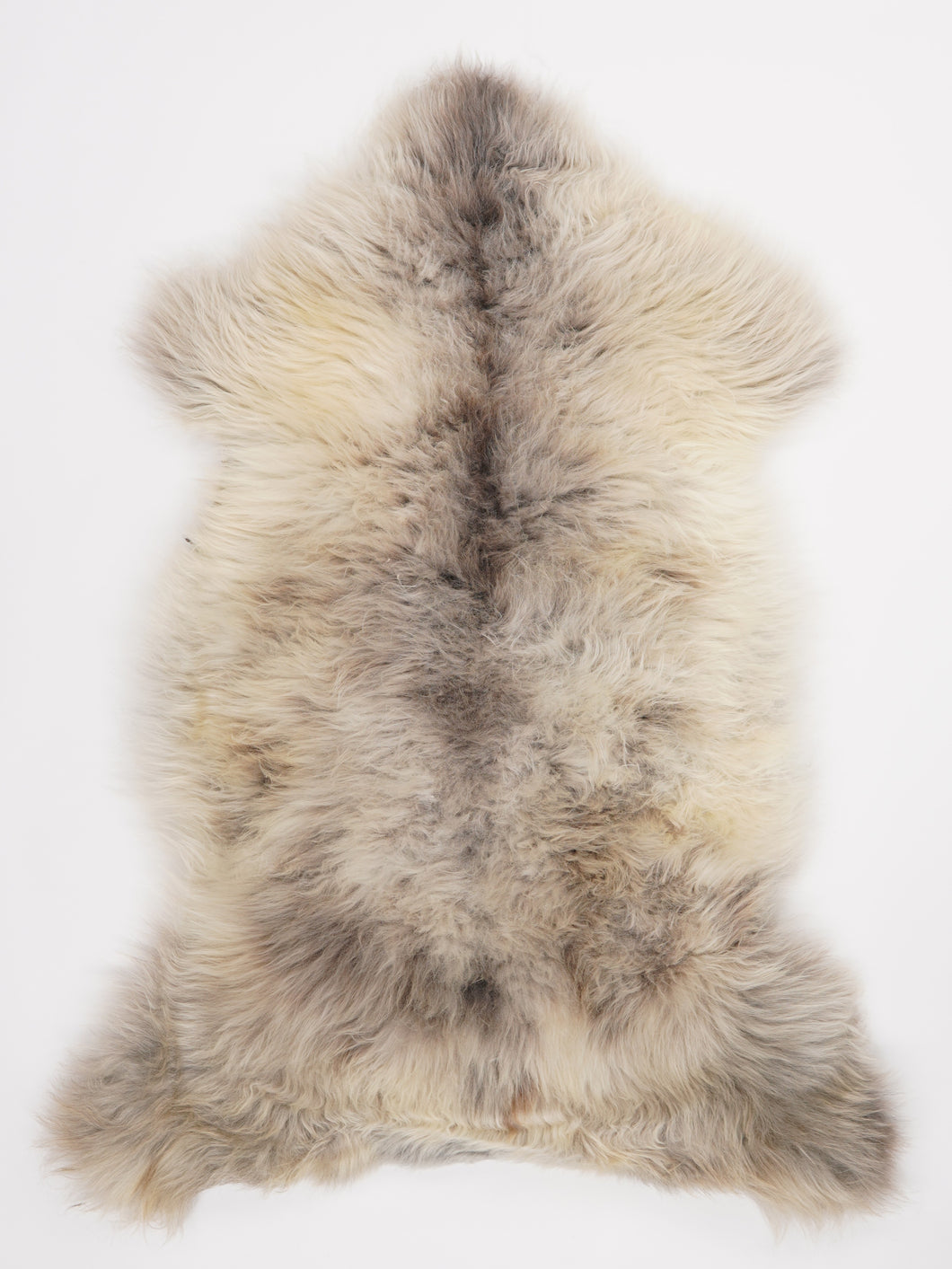 Įvairiaspalvis avikailis XL