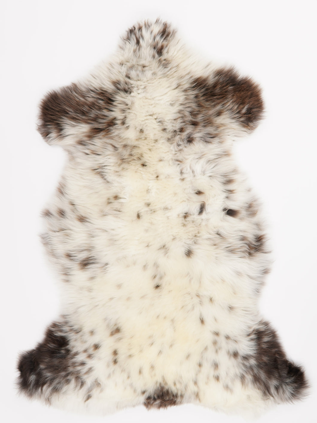 Įvairiaspalvis avikailis XL