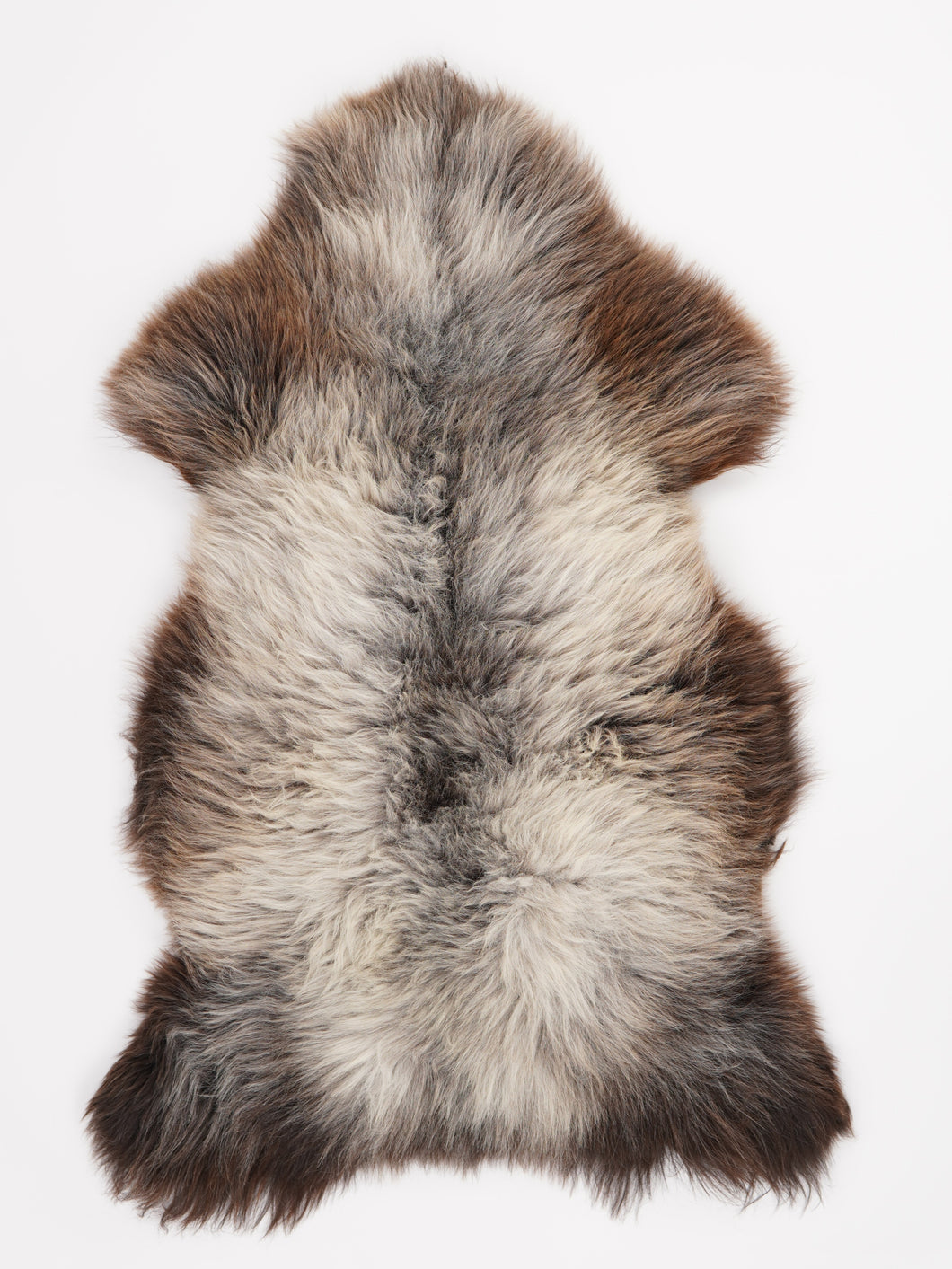 Įvairiaspalvis avikailis XL