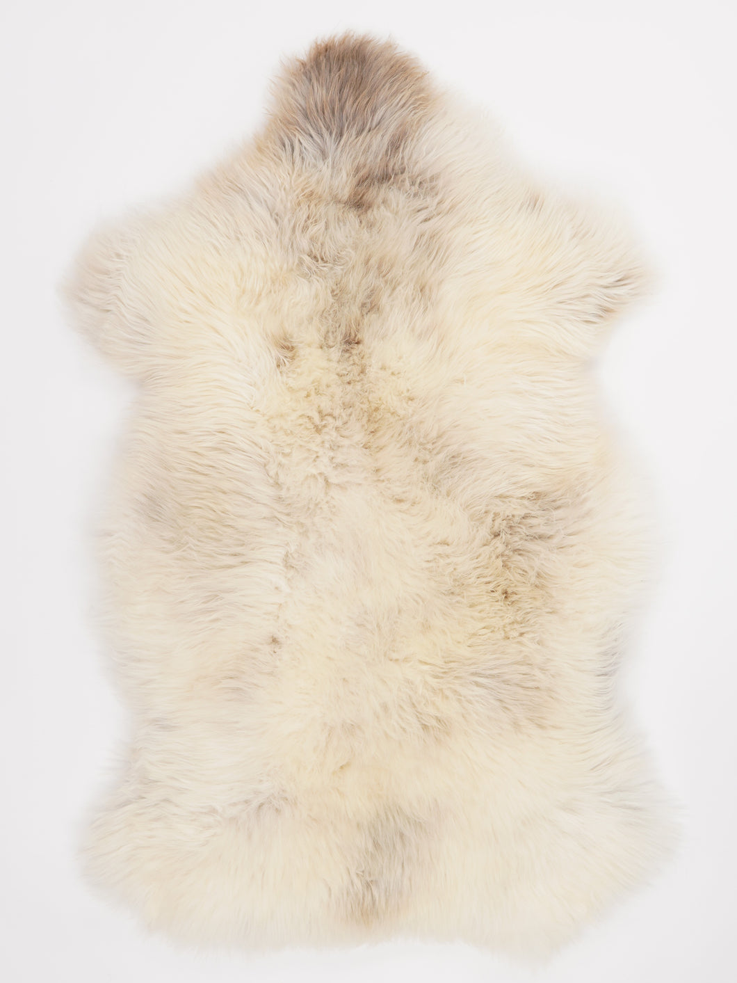 Įvairiaspalvis avikailis XL