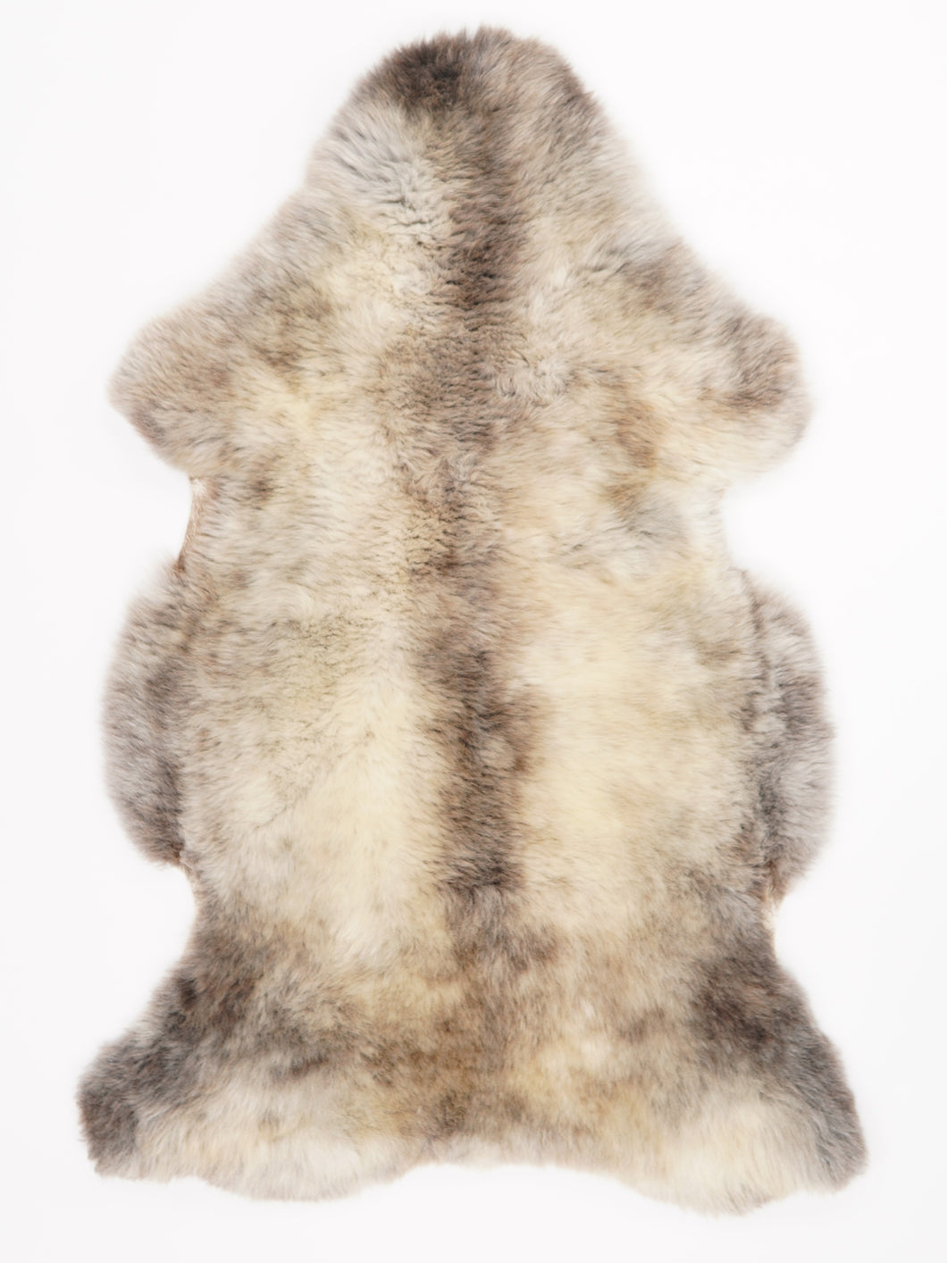 Įvairiaspalvis avikailis XL