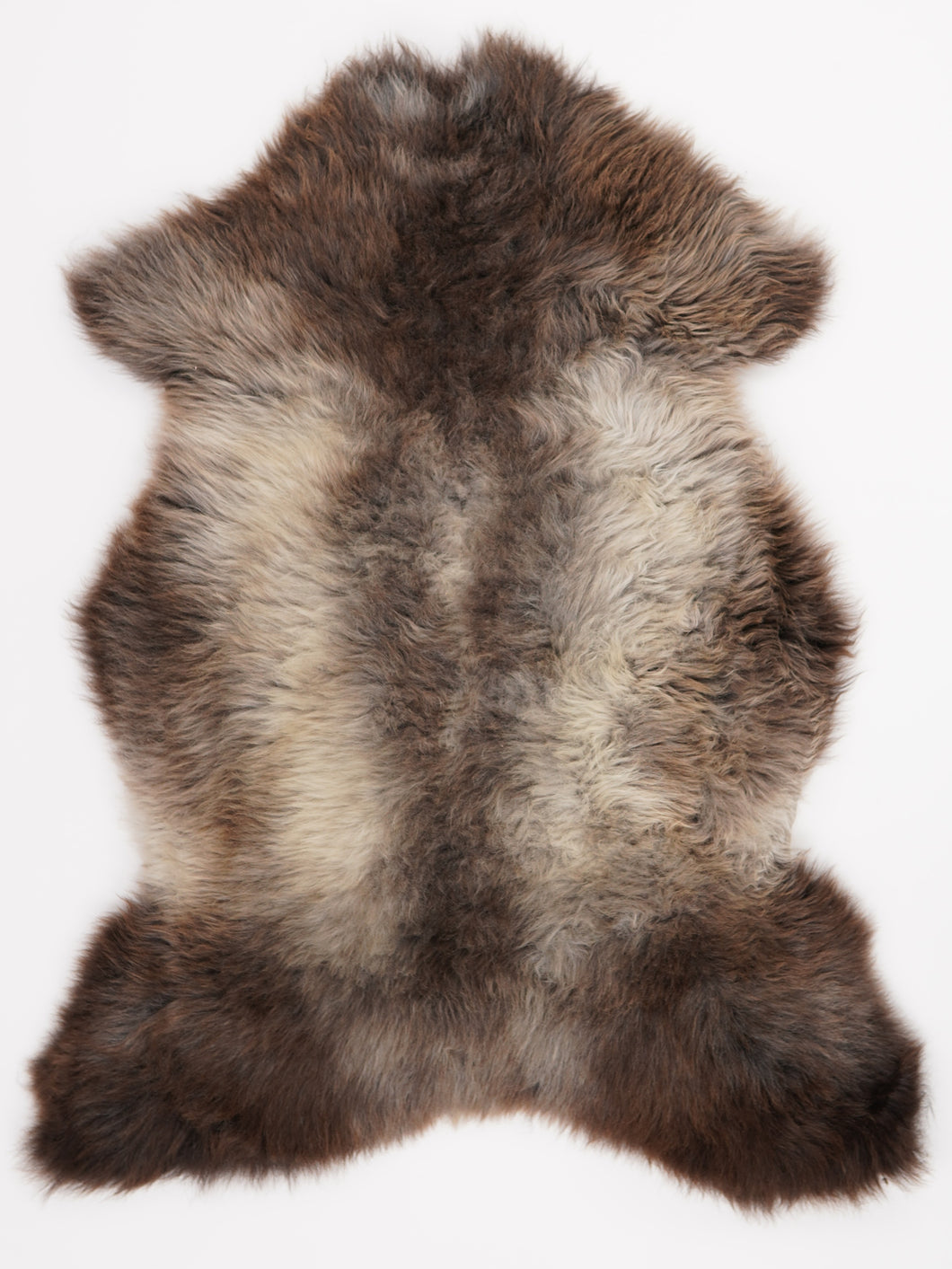 Įvairiaspalvis avikailis XL