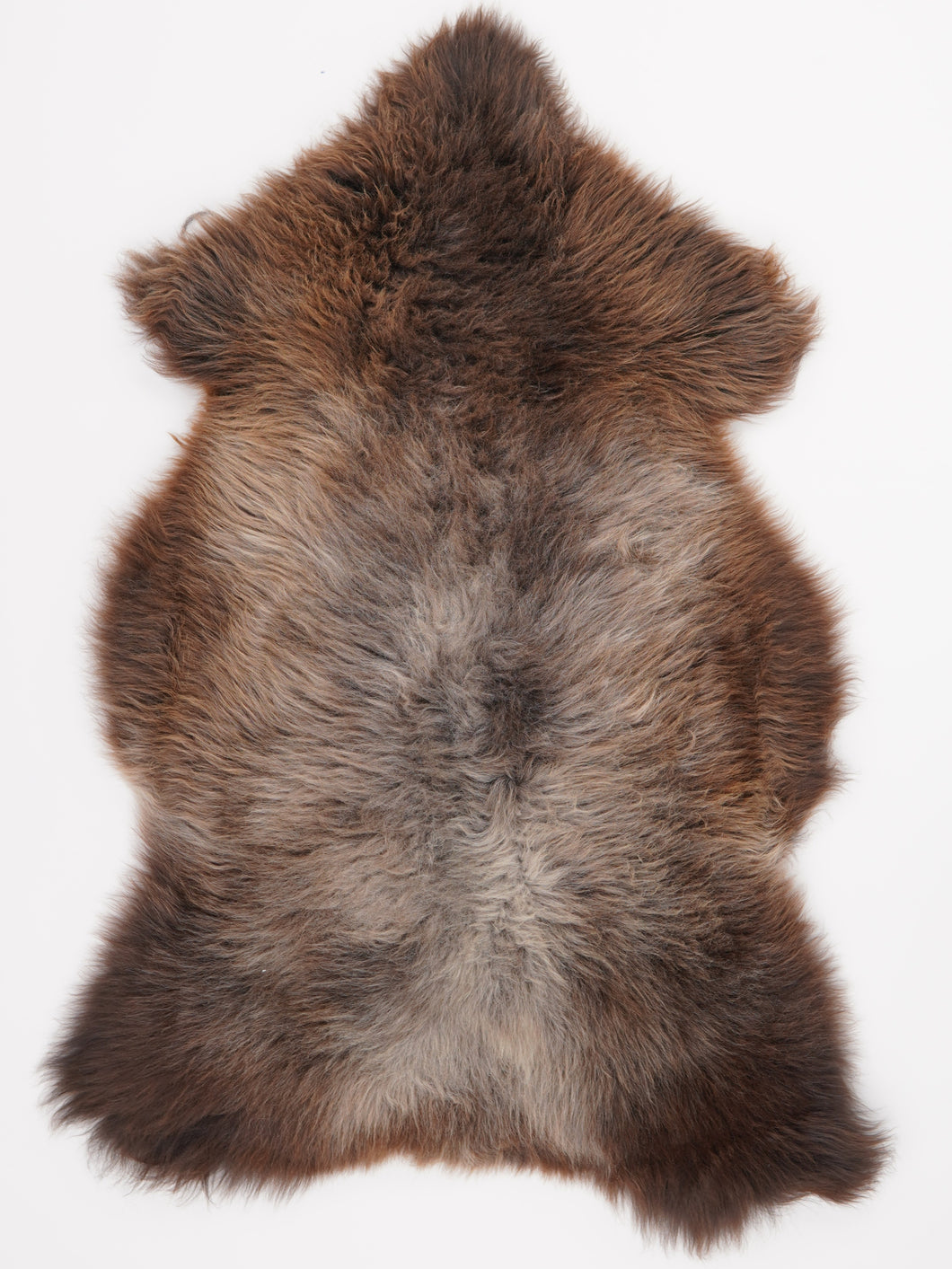 Įvairiaspalvis avikailis XL