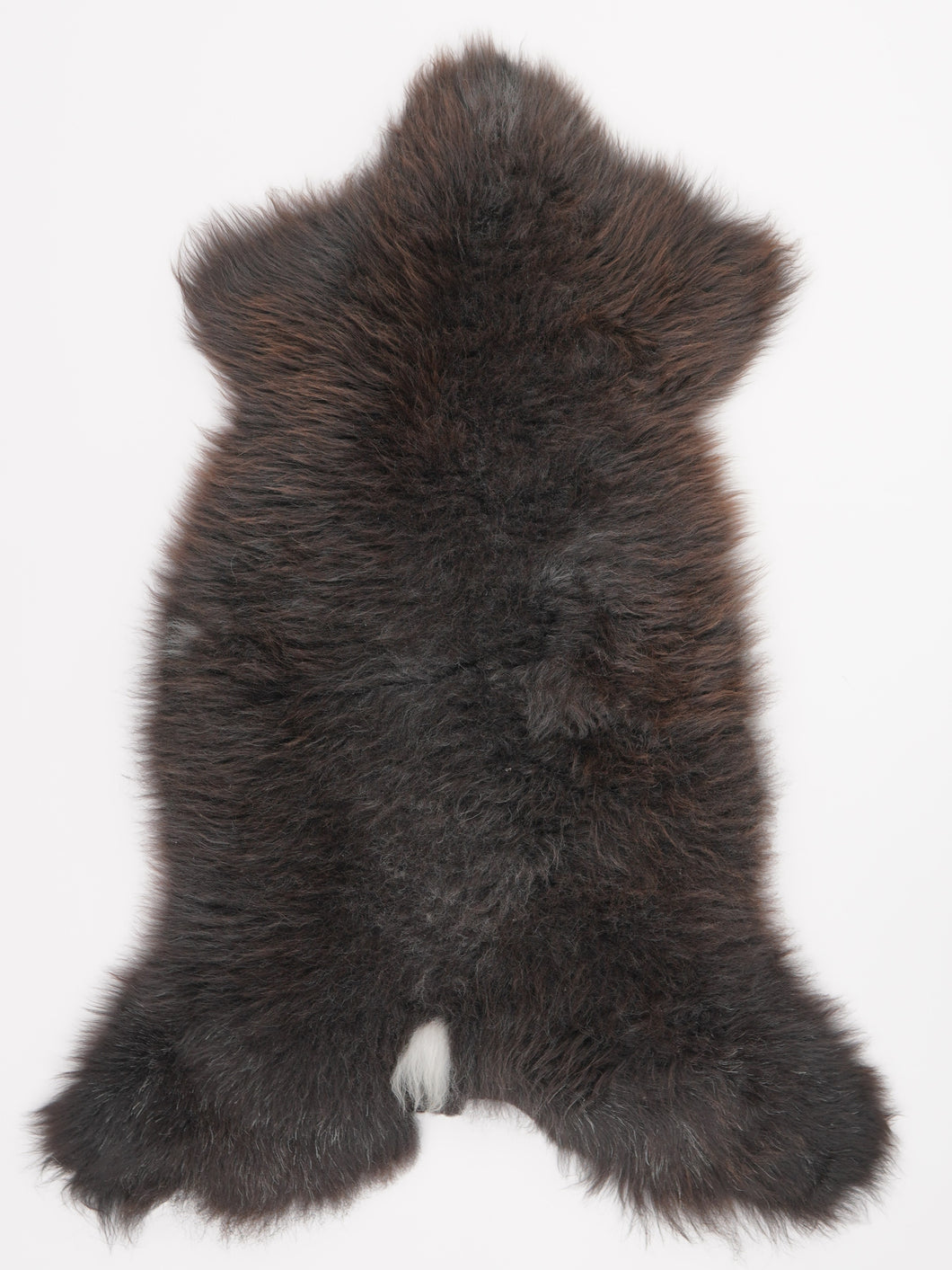 Įvairiaspalvis avikailis XL