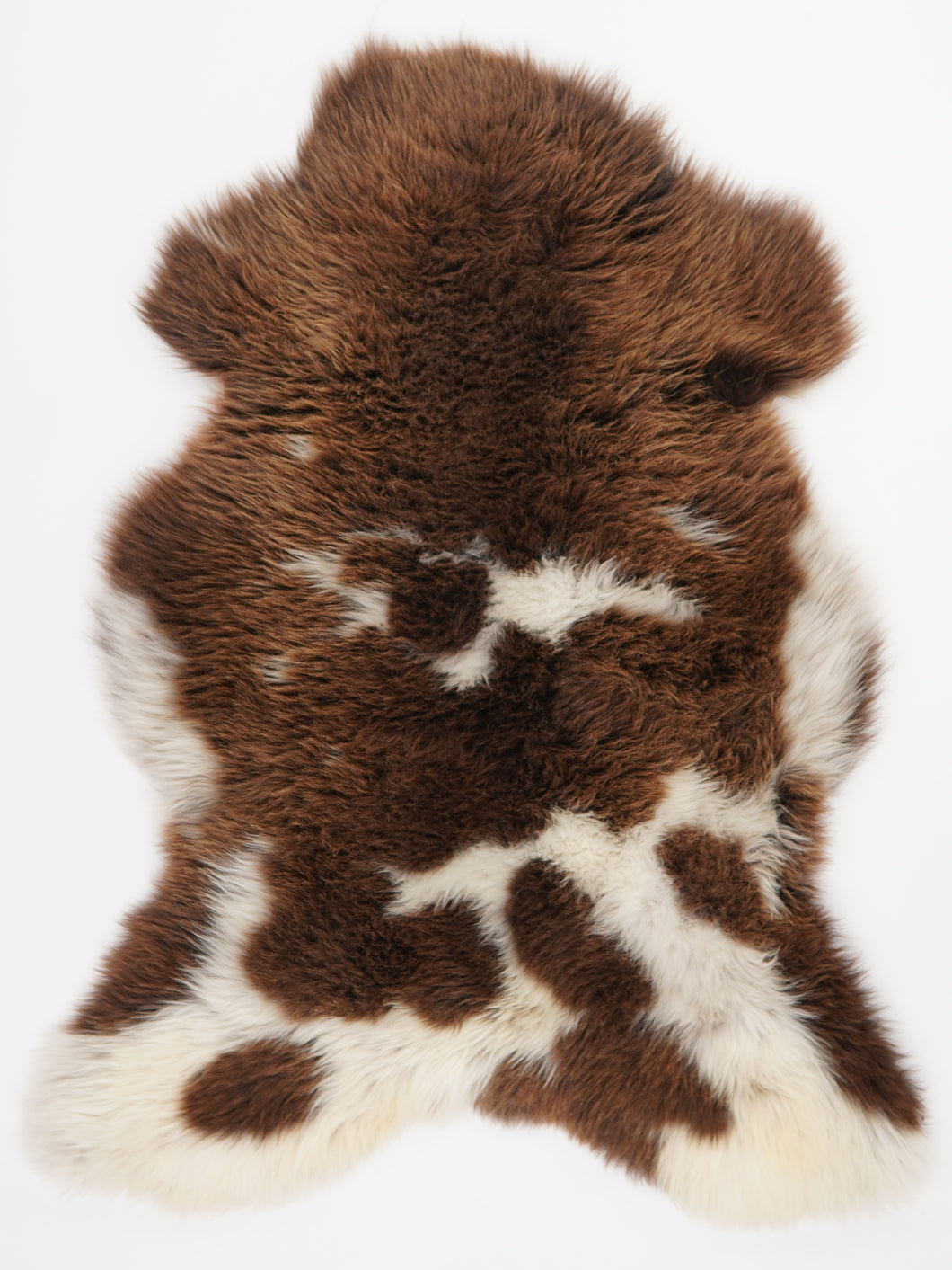 Įvairiaspalvis avikailis XL