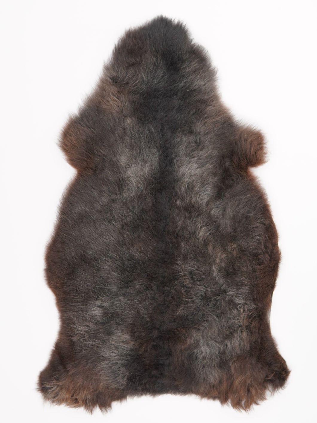 Įvairiaspalvis avikailis M