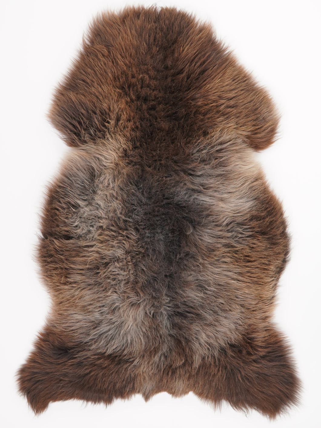 Įvairiaspalvis avikailis XL