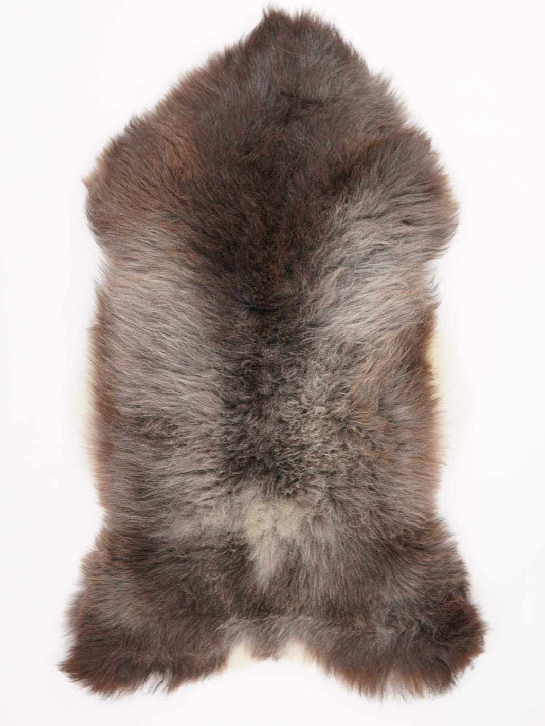 Įvairiaspalvis avikailis XL