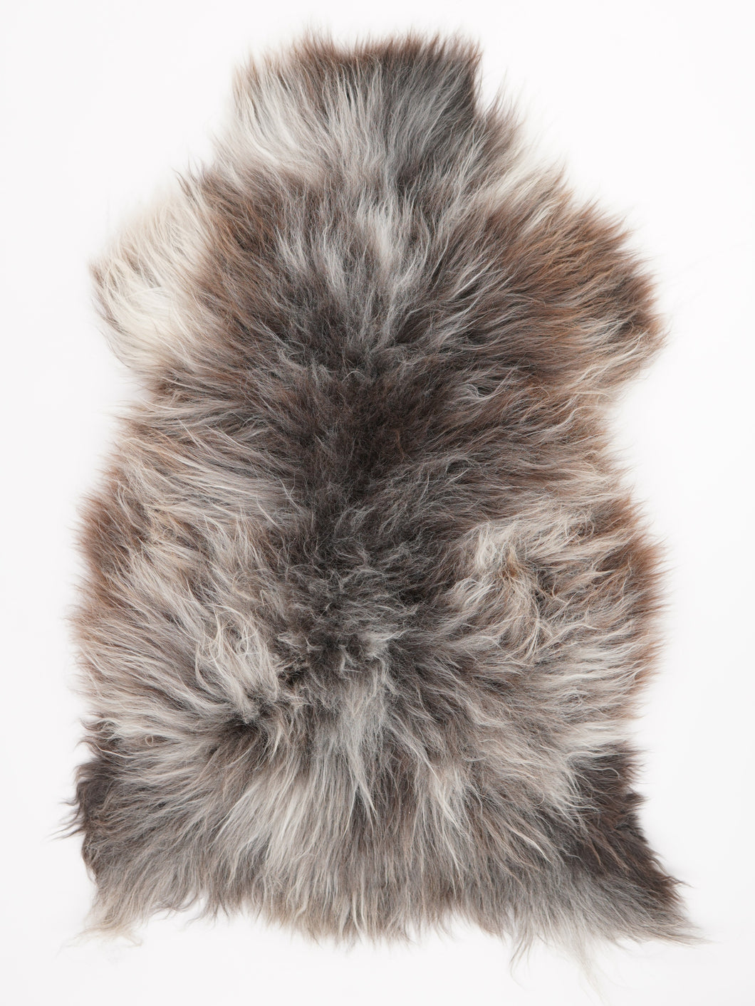 Įvairiaspalvis avikailis XL