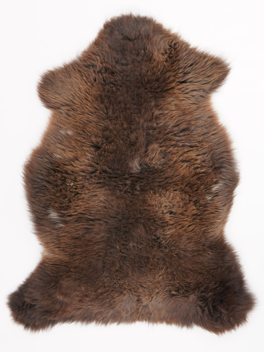 Įvairiaspalvis avikailis M