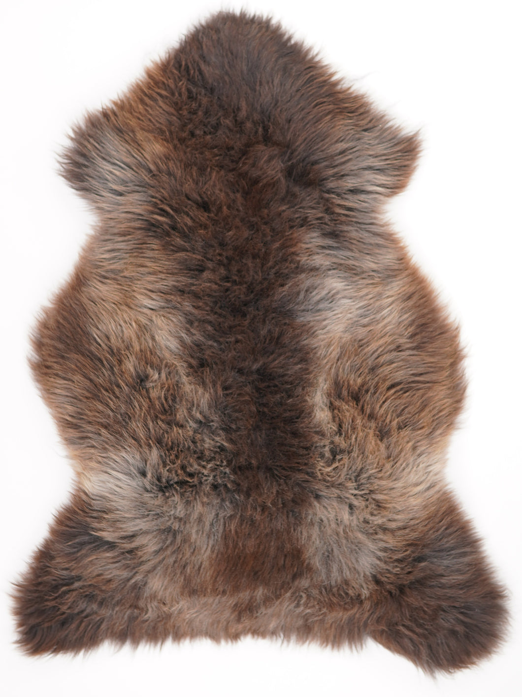 Įvairiaspalvis avikailis XL