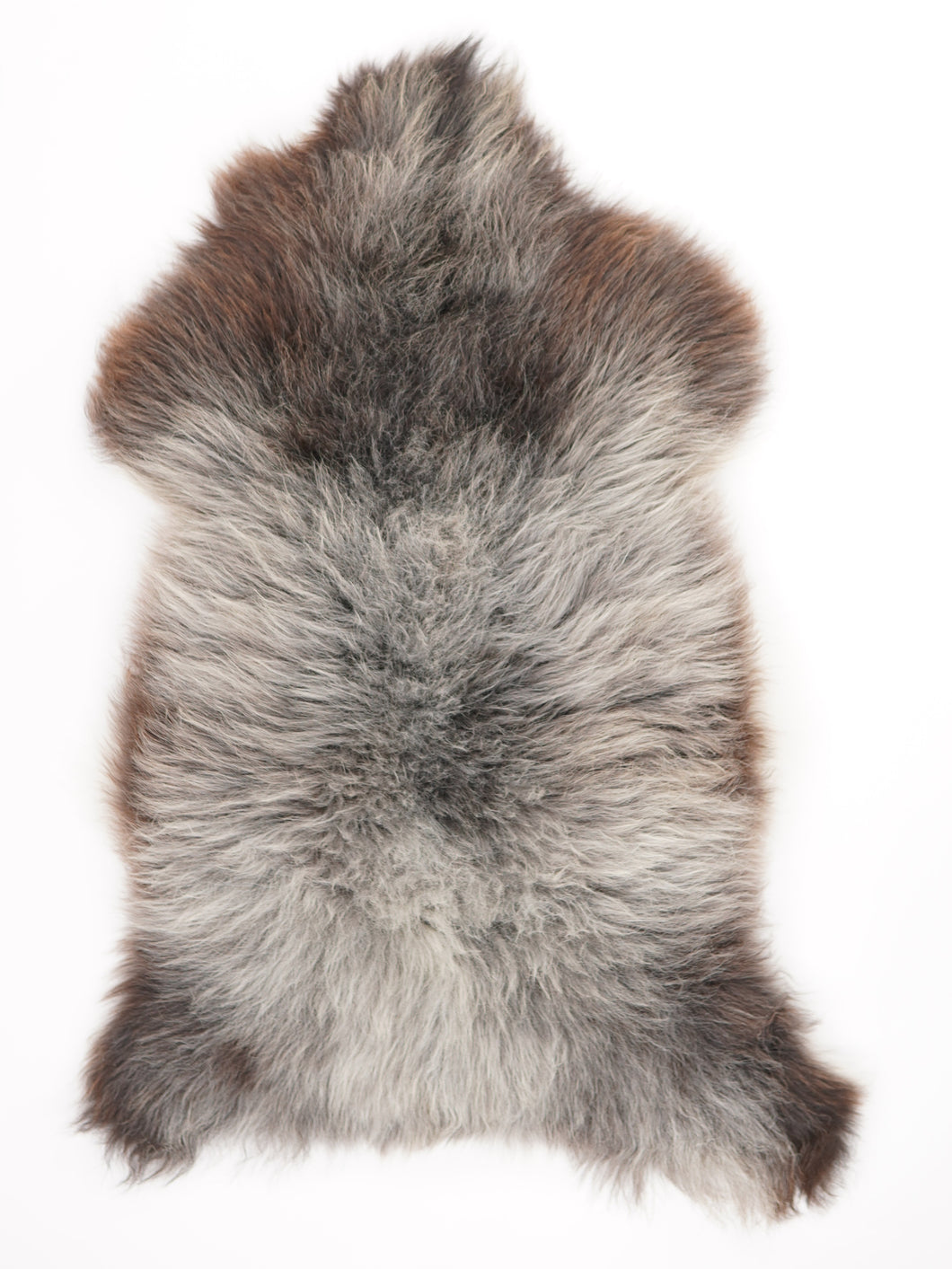 Įvairiaspalvis avikailis XL