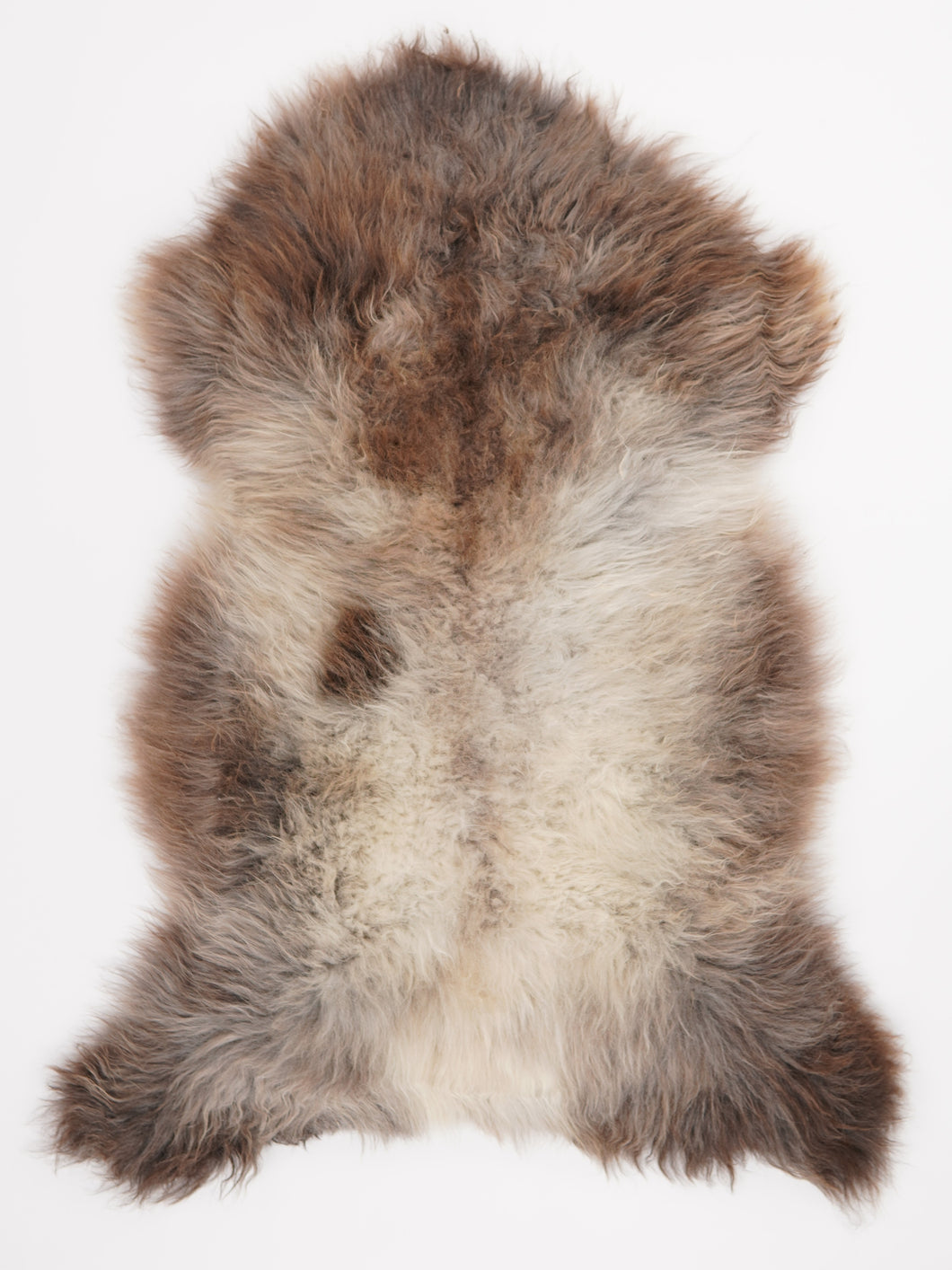 Įvairiaspalvis avikailis XXL