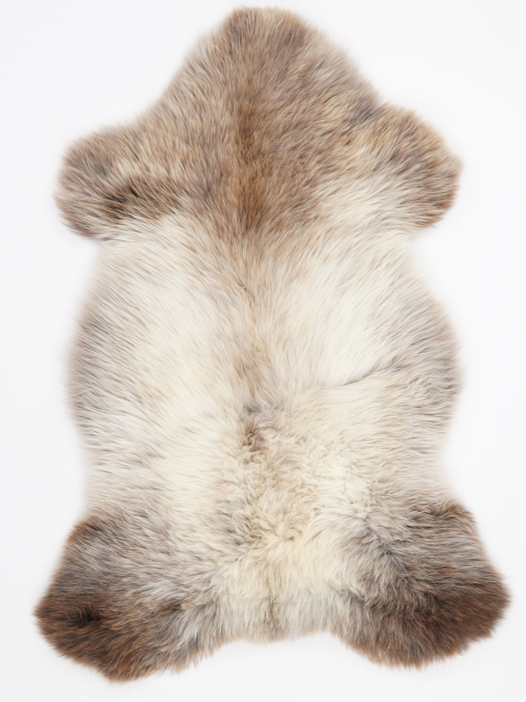 Įvairiaspalvis avikailis L