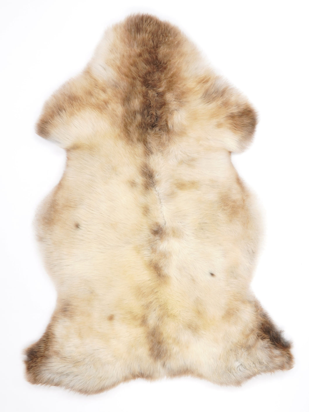 Įvairiaspalvis avikailis L